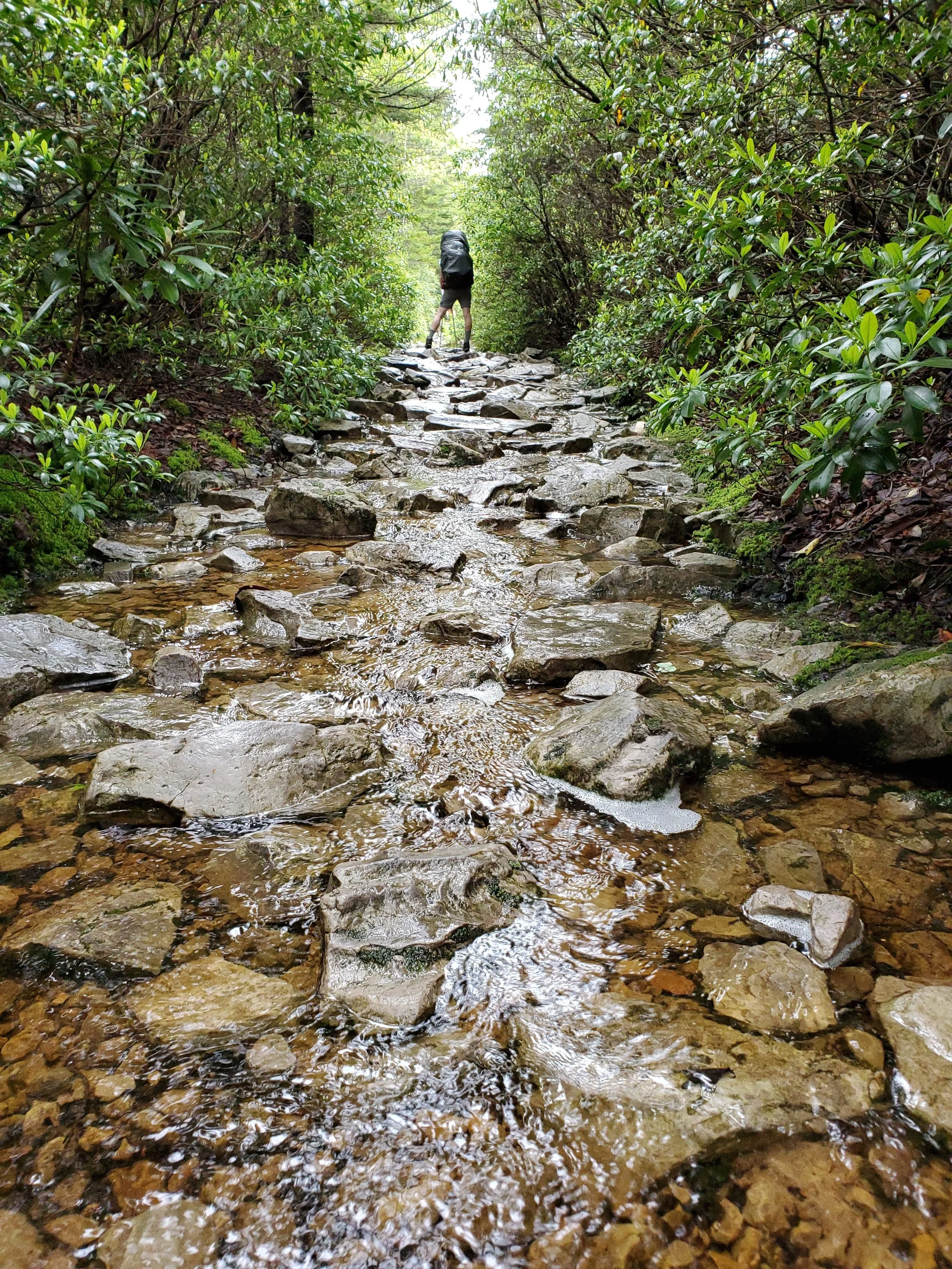 A hiker with a backpack walking on a rocky trail through a lush green forest, with water running over the rocks.
