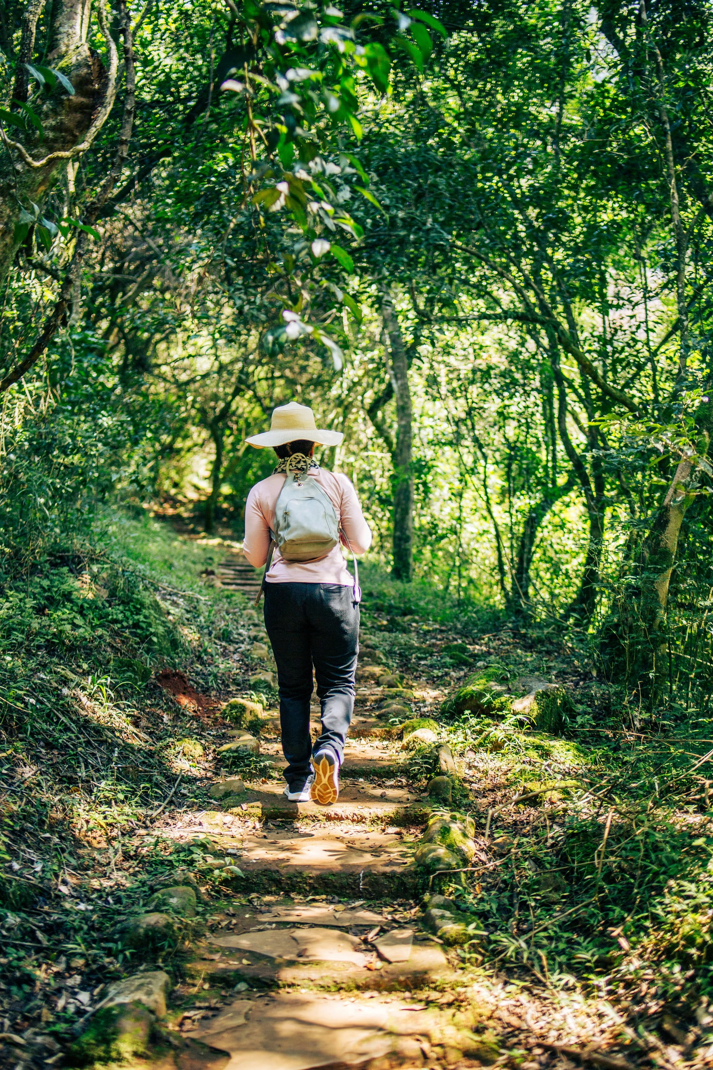 A person wearing a wide-brimmed hat, pink shirt, and black pants is hiking on a trail through a lush, green forest with sunlight filtering through the trees.