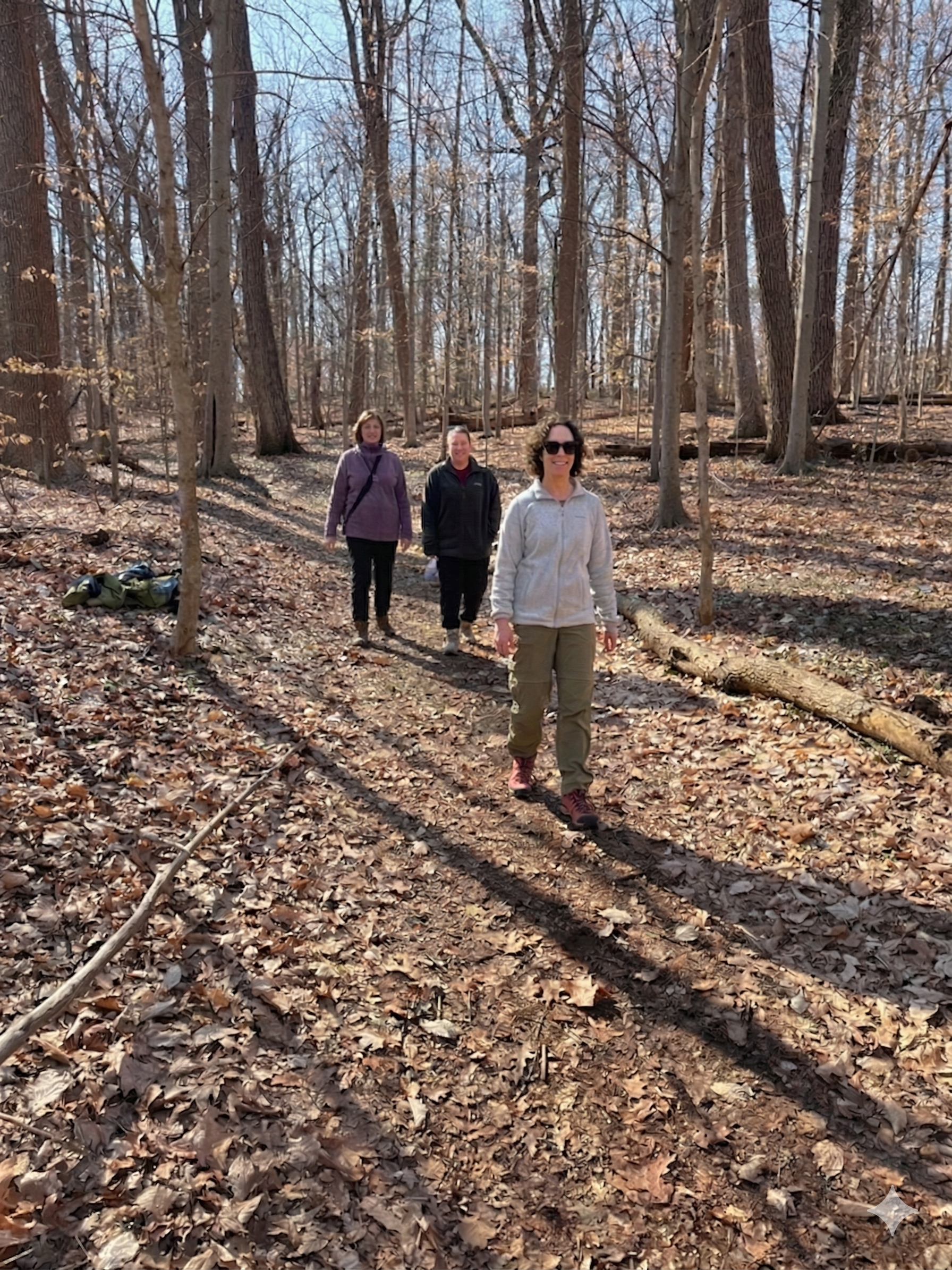Three women hiking on a leaf-covered trail in a forest during autumn, with bare trees and fallen leaves.
