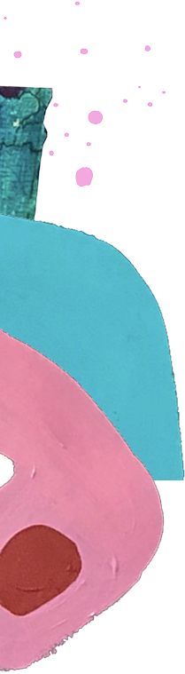 Close-up of a pink object with a brown spot, possibly a plush toy or a cartoon character.