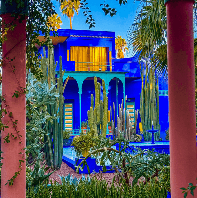 Colorful building with bright blue walls and yellow curtains, surrounded by various cacti and desert plants, with pink columns in the foreground and palm trees in the background.