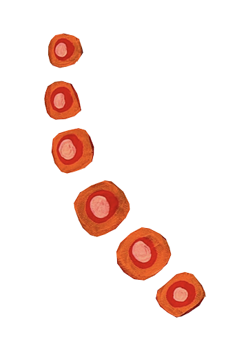 A series of six bacon slices arranged in a downward diagonal line on a white background, with a yellow and brown horizontal line at the bottom.