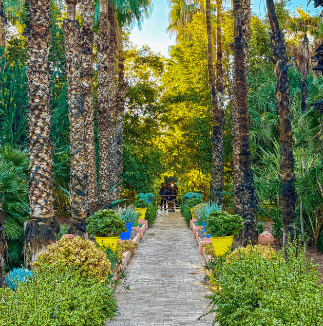 A paved pathway lined with colorful planters and lush green plants on both sides, leading into a dense, sunny tropical forest with tall palm trees.
