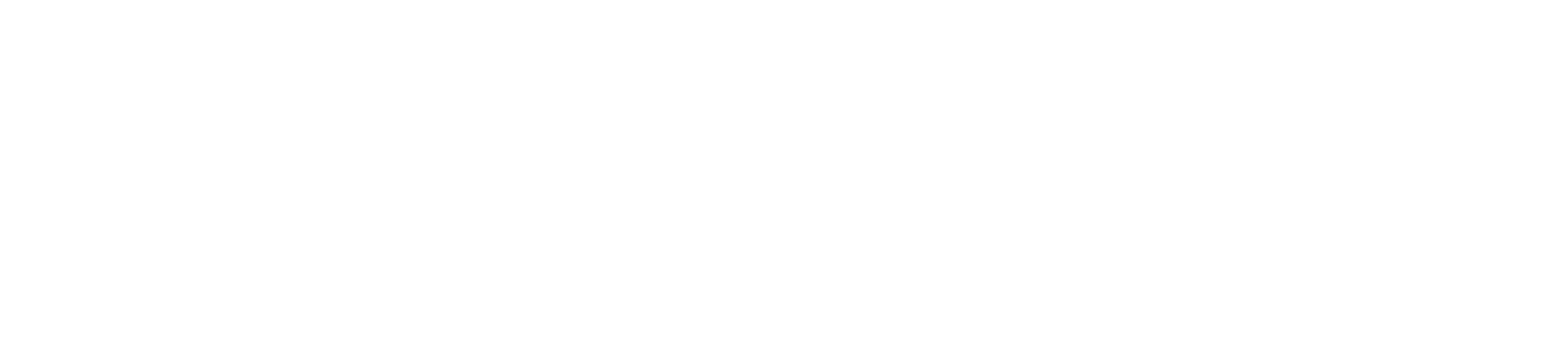 Pirelli logo in black and white with bold font and horizontal lines above and below.