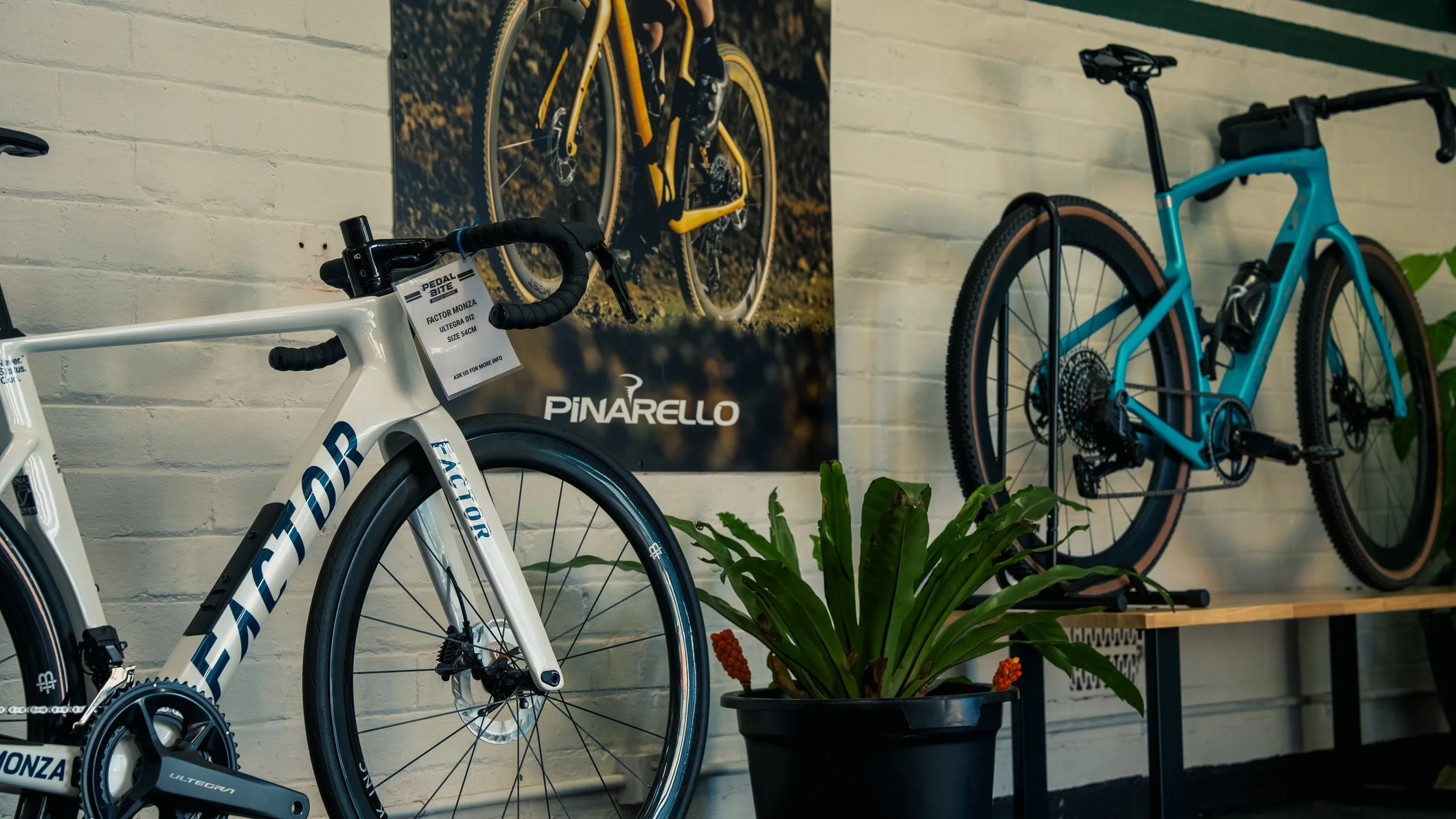 Two bikes, one white and one blue, displayed indoors with a black plant pot and a Pinarello advertising poster on a white brick wall.