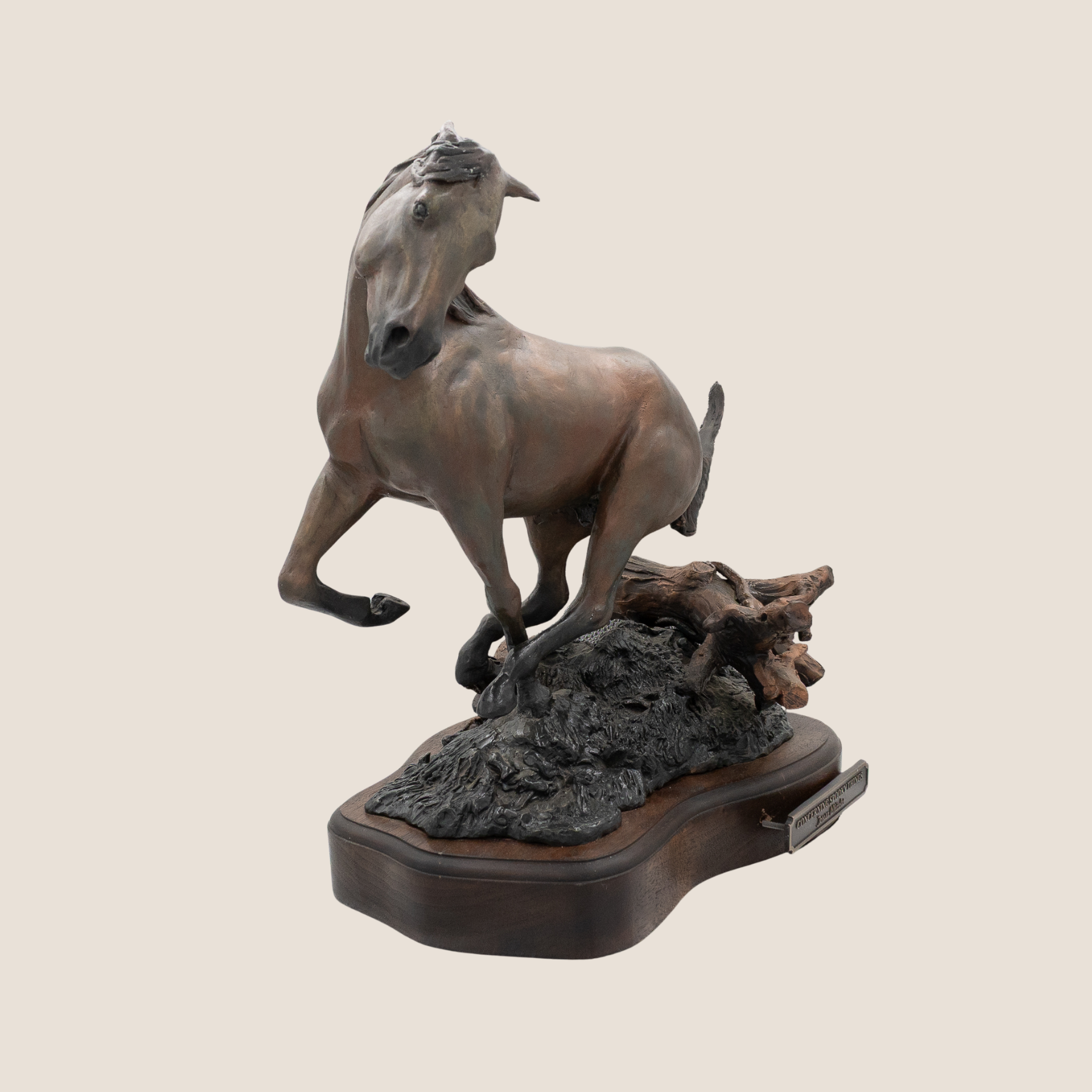 Teresa Whitaker is a Texas-based artist specializing in colored pencils and sculpture, inspired by a deep love of horses. Creating detailed, expressive pieces that capture the spirit, movement and beauty of equine life.