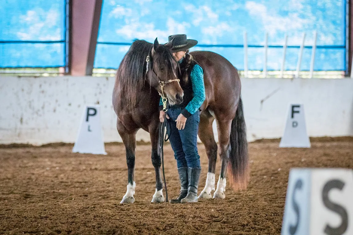 Teresa Whitaker is a Texas-based artist specializing in colored pencils and sculpture, inspired by a deep love of horses. Creating detailed, expressive pieces that capture the spirit, movement and beauty of equine life.
