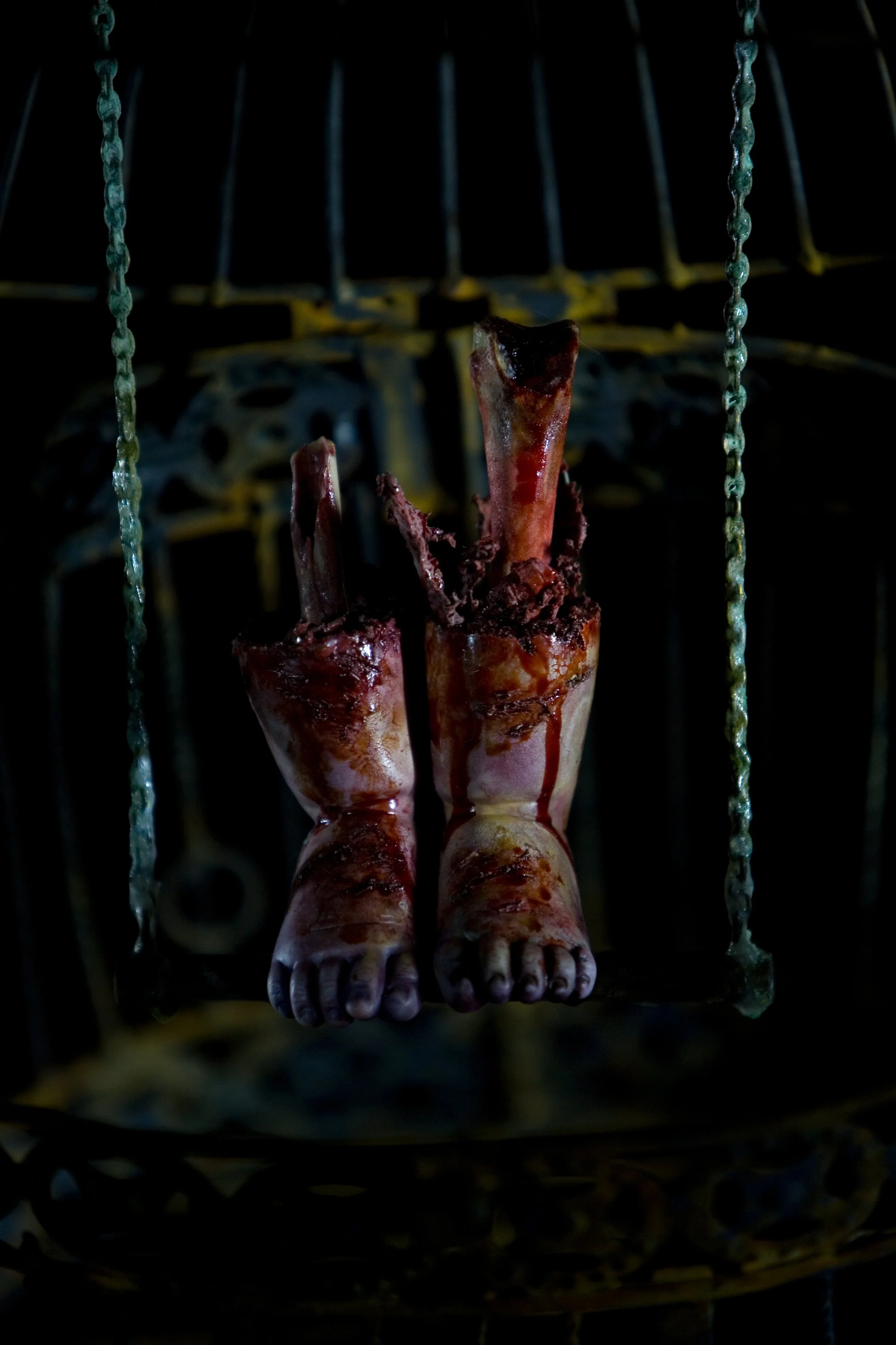 Feet