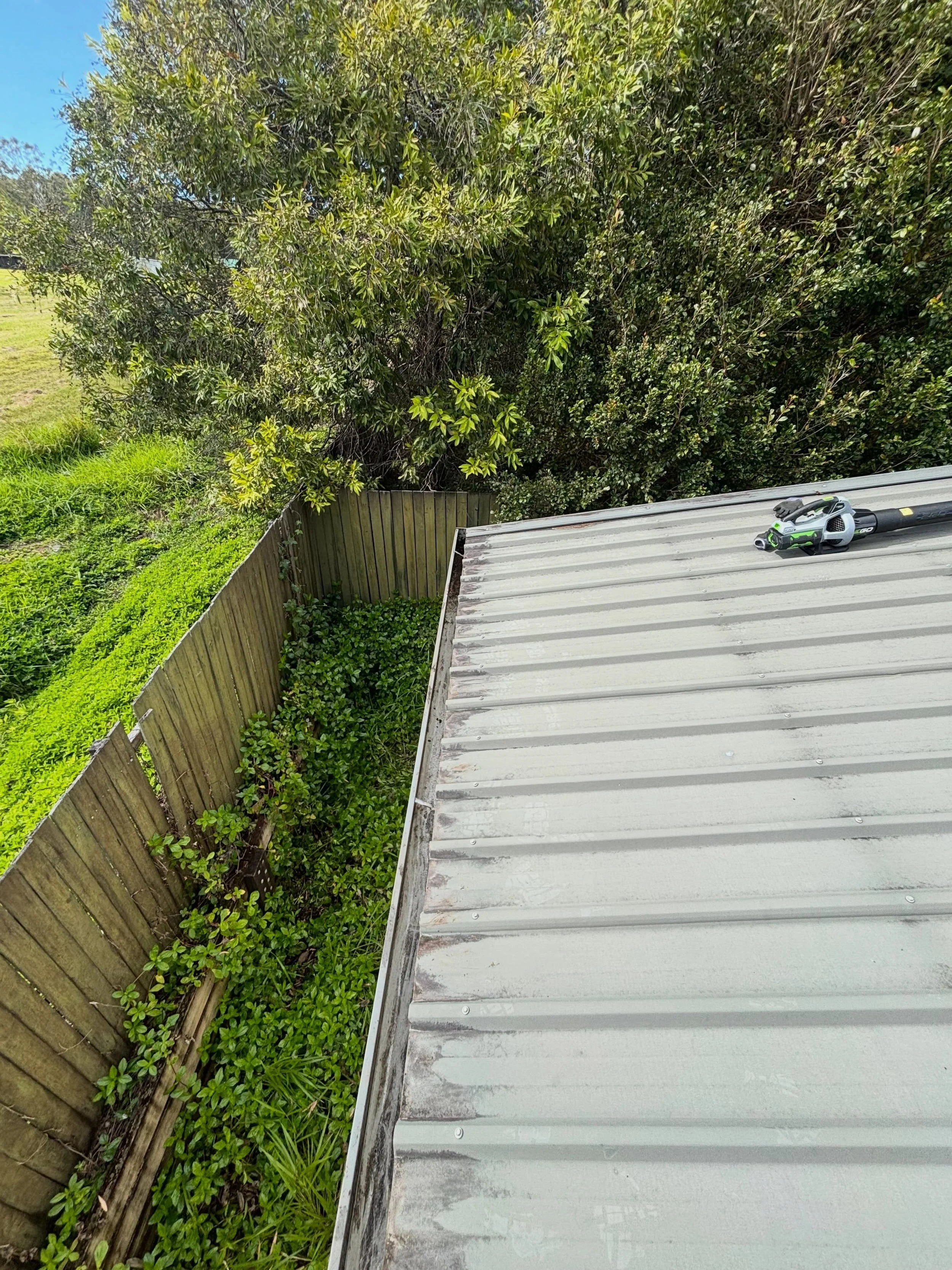 Shed gutter clearing and yard tidy up this morning.
