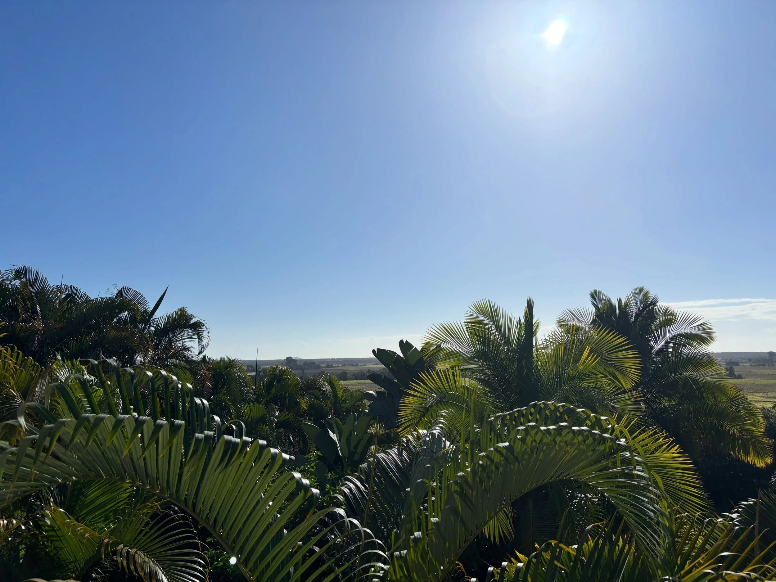 Happy Friday! Working in another stunning location in beautiful Bli Bli. #letsgetitdone