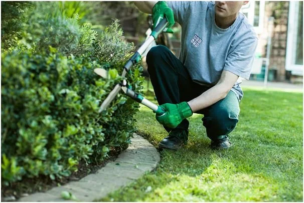Landscapers & Lawn Care
