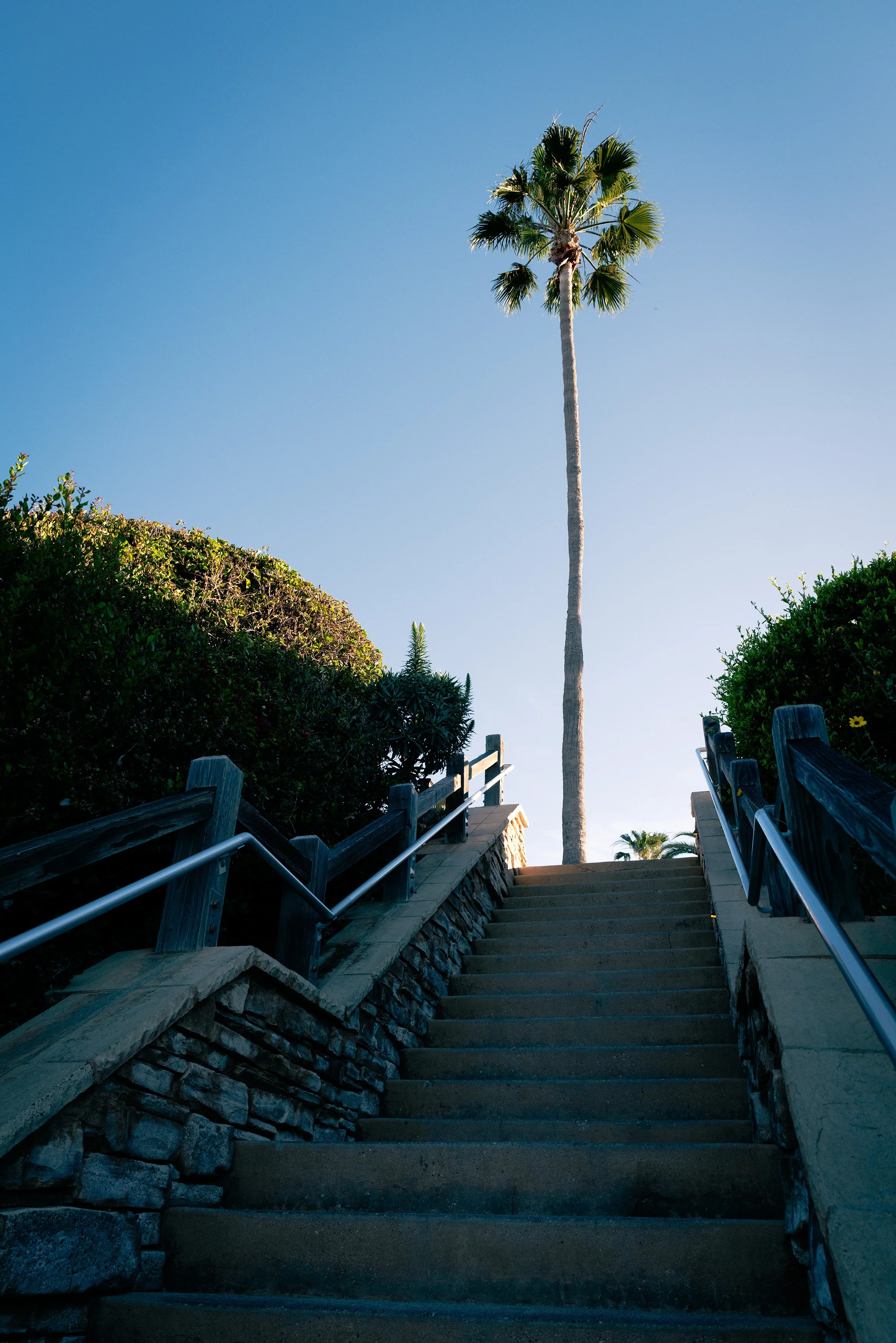 260313_180_Laguna_JM.jpg