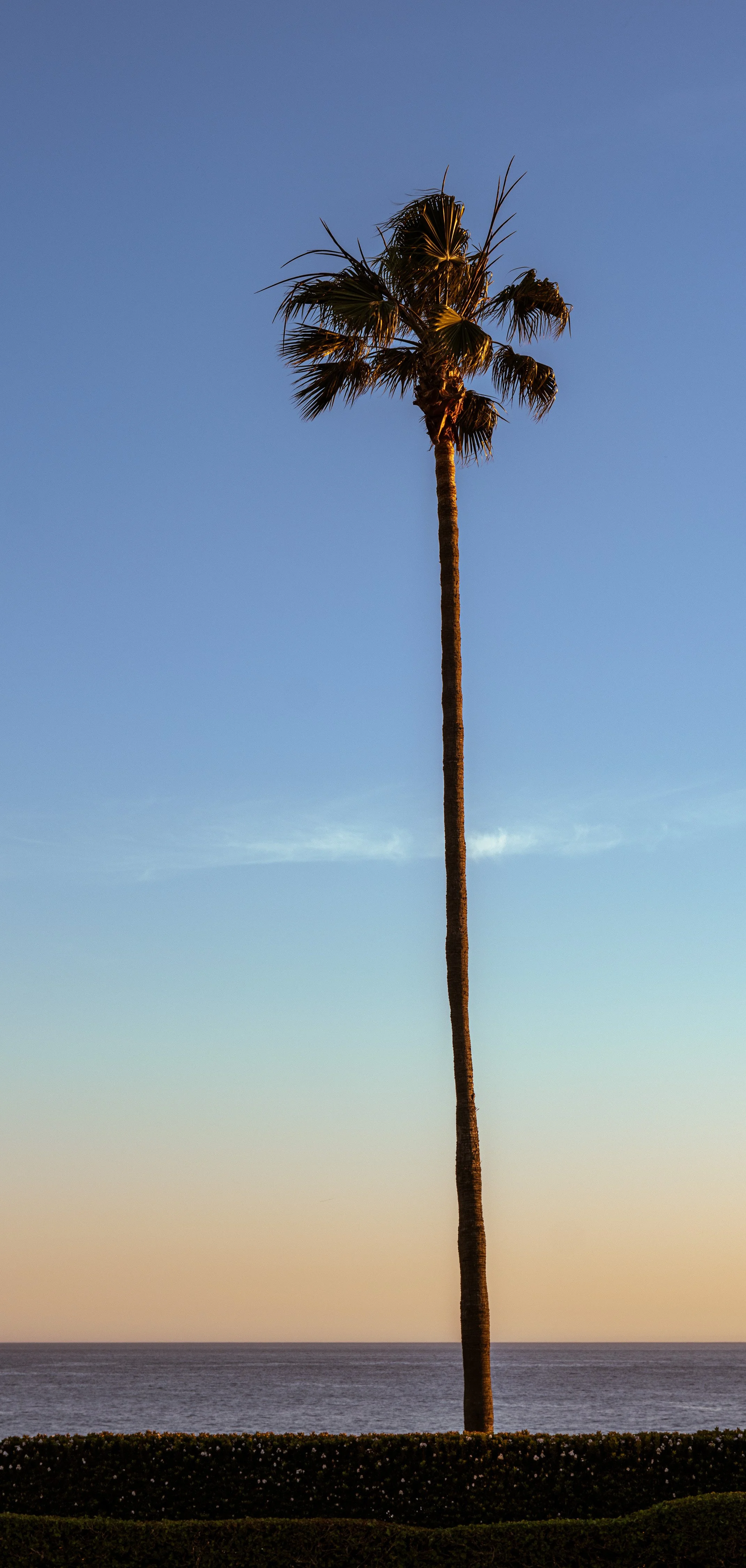 260312_001_Laguna_JM.jpg