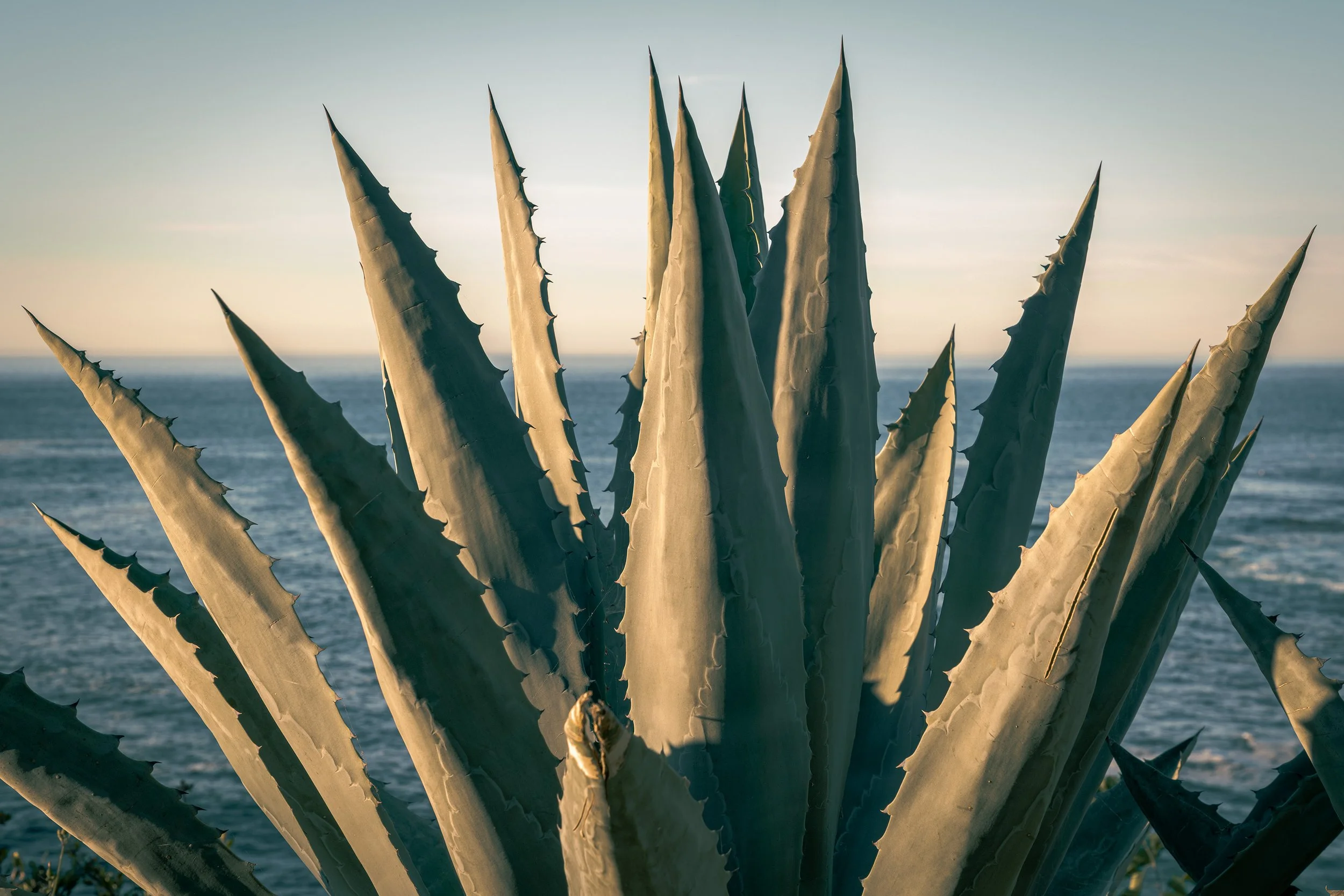 260313_074_Laguna_JM.jpg
