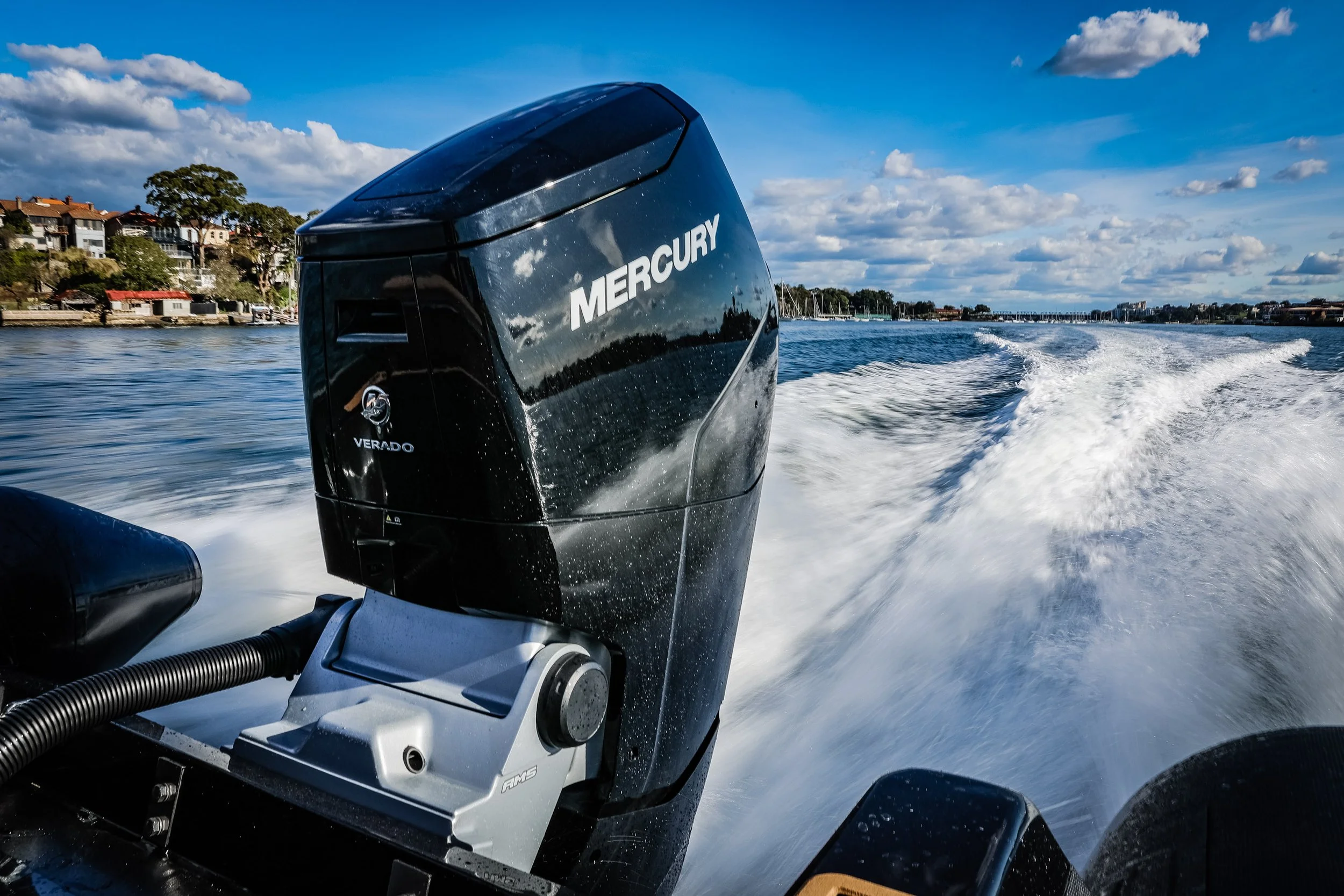  © Salty Dingo 2022 -DEN11575.jpg