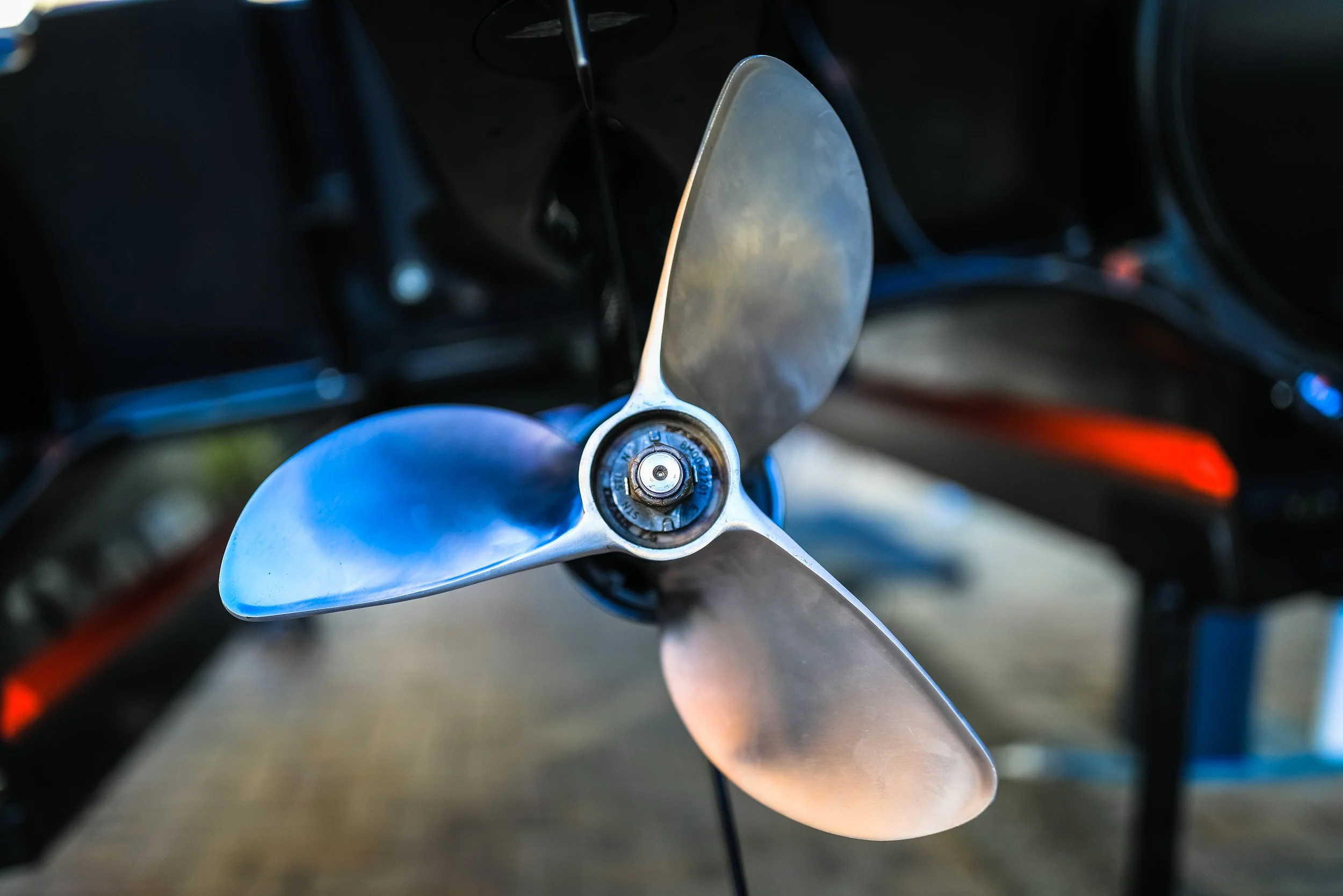 © Salty Dingo 2021 CG-4006.jpg