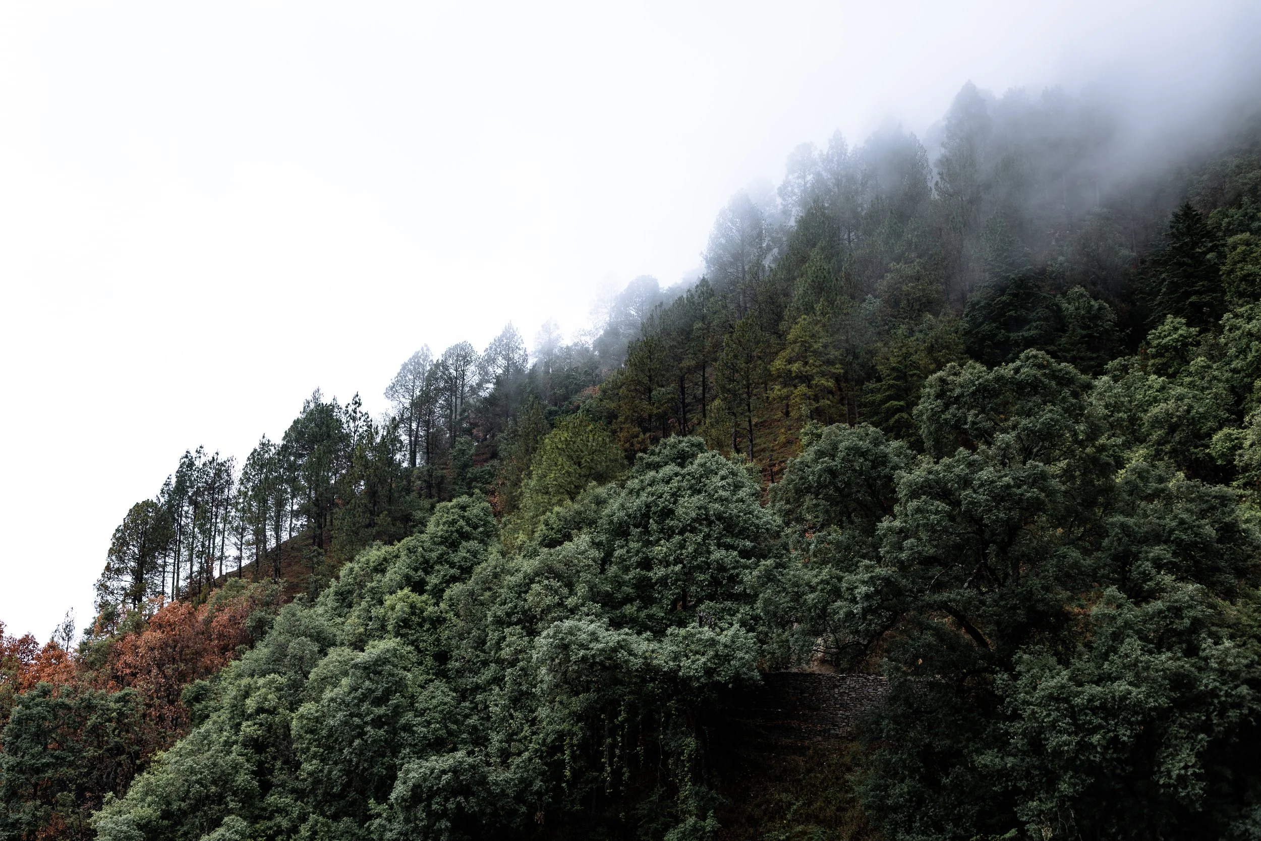 4K4A7185-Enhanced-NR.jpg
