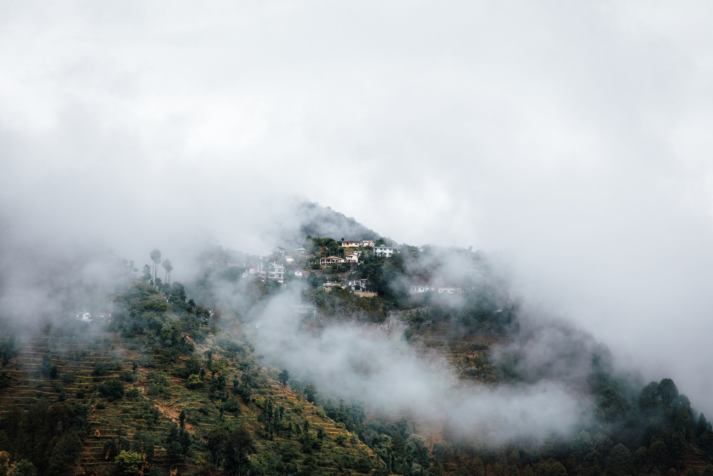 4K4A7174-Enhanced-NR.jpg