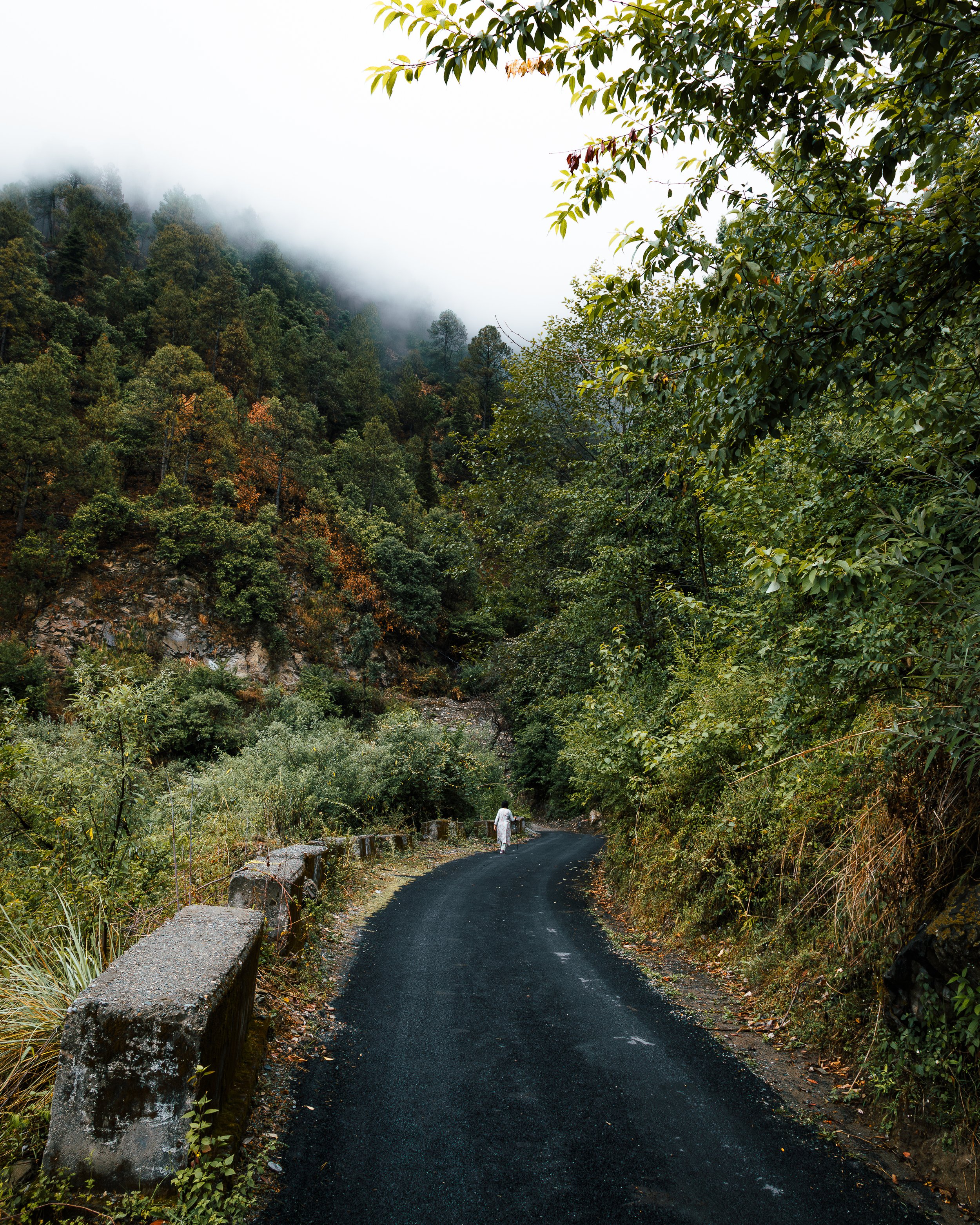 4K4A7186-Enhanced-NR.jpg
