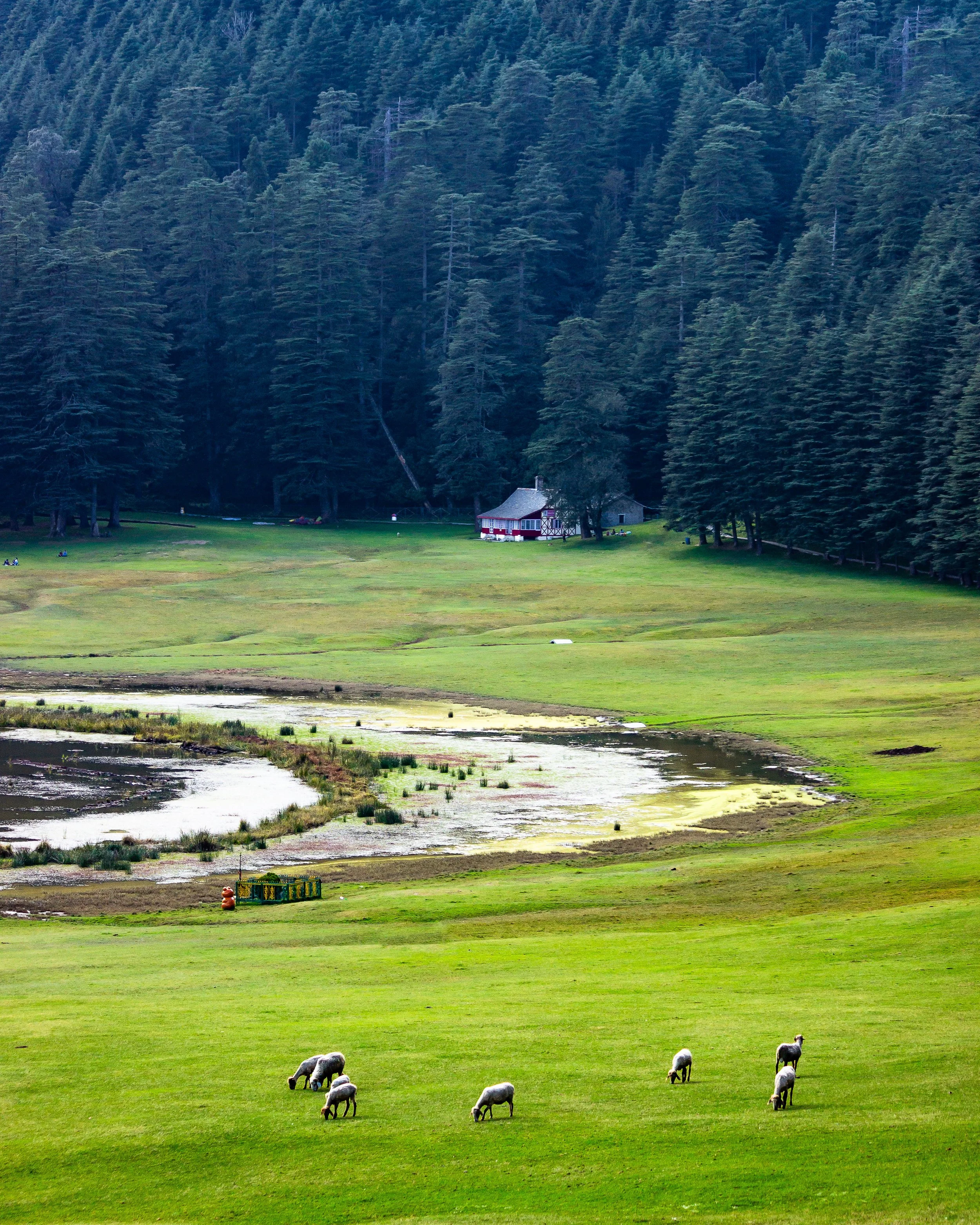 _MG_5297.jpg