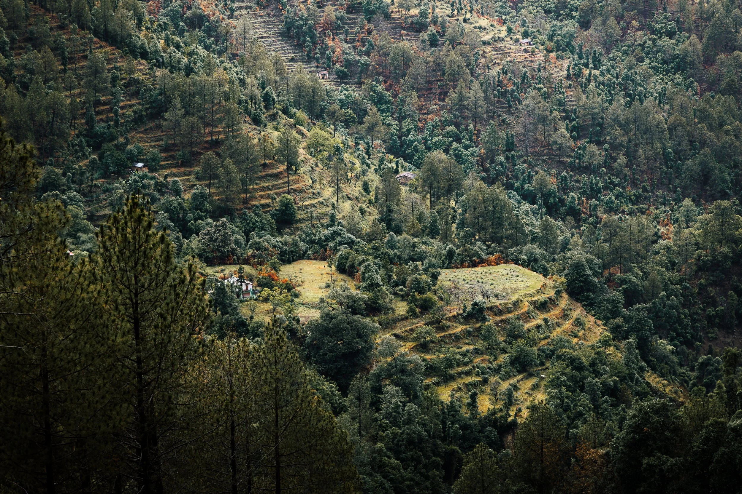 4K4A7199-Enhanced-NR.jpg