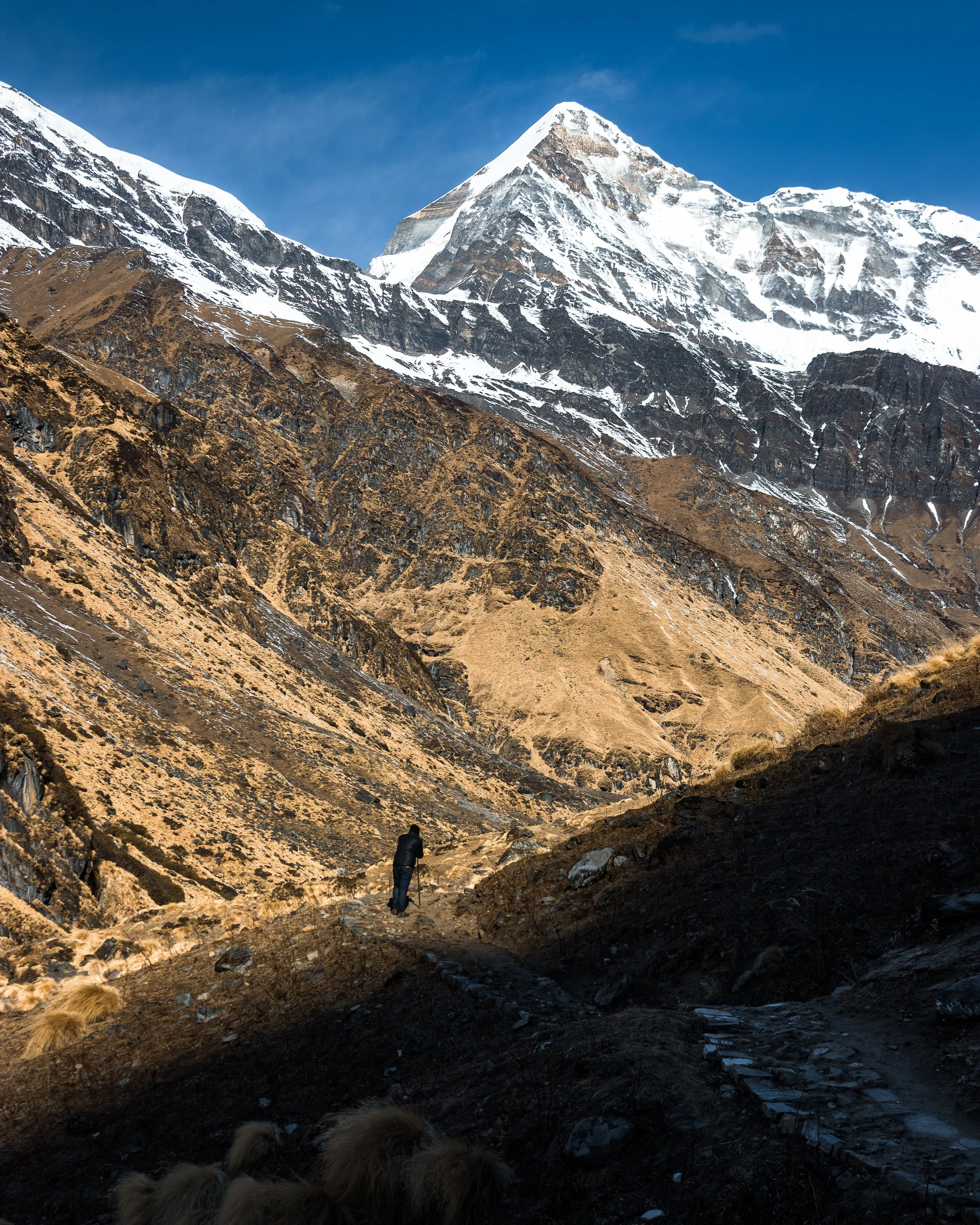 Pindari (4).jpg