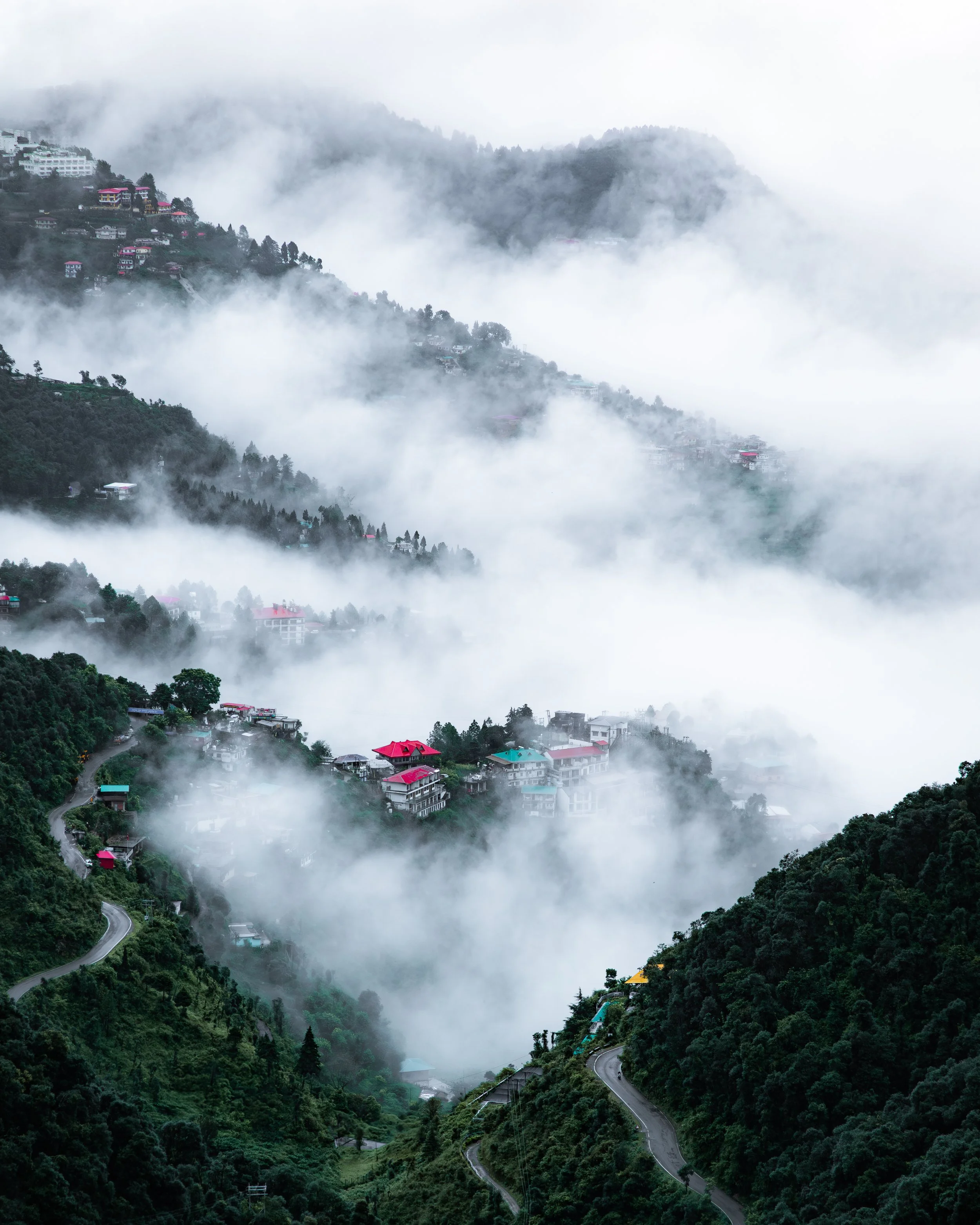 4K4A7453-Enhanced-NR.jpg