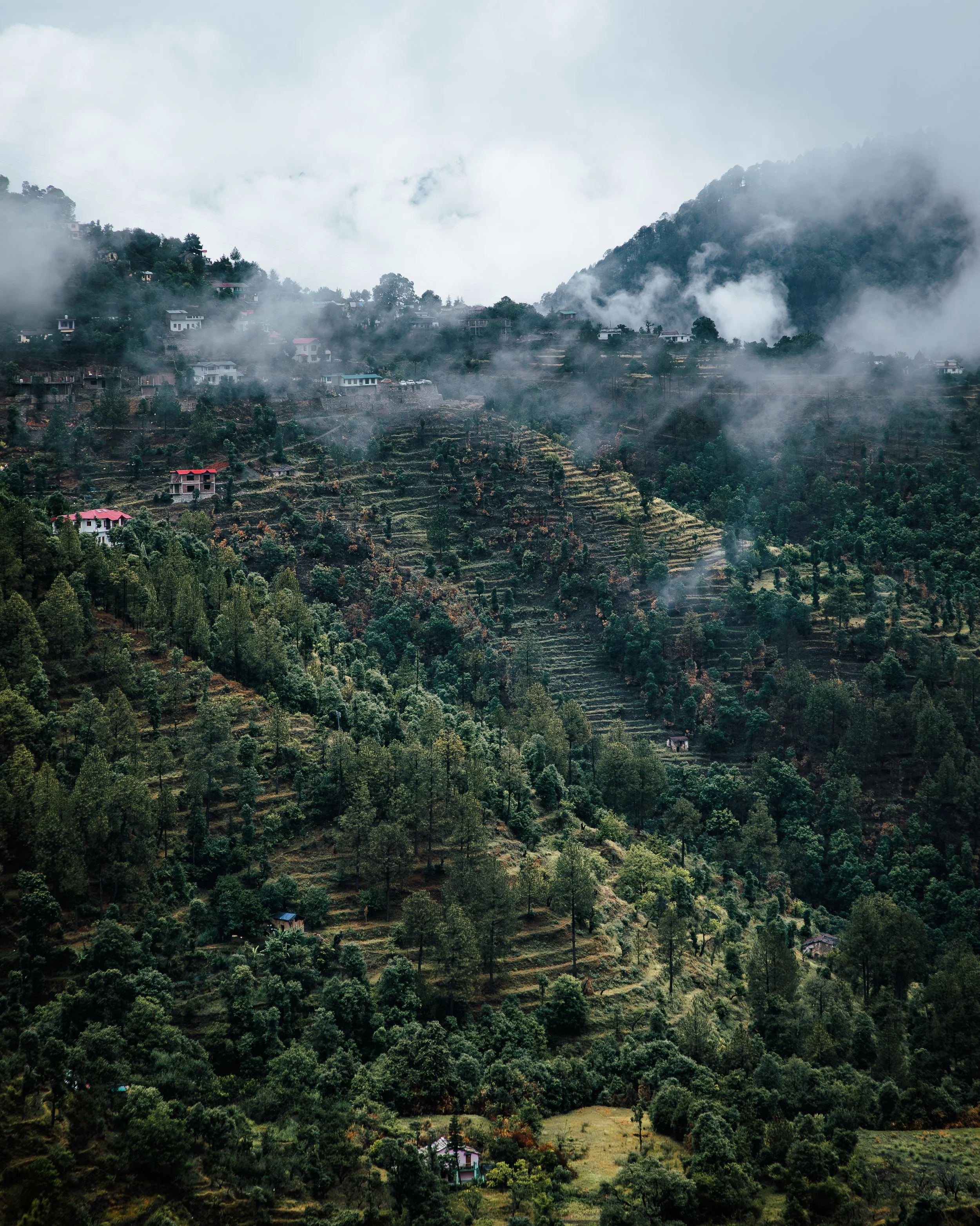 4K4A7167-Enhanced-NR.jpg