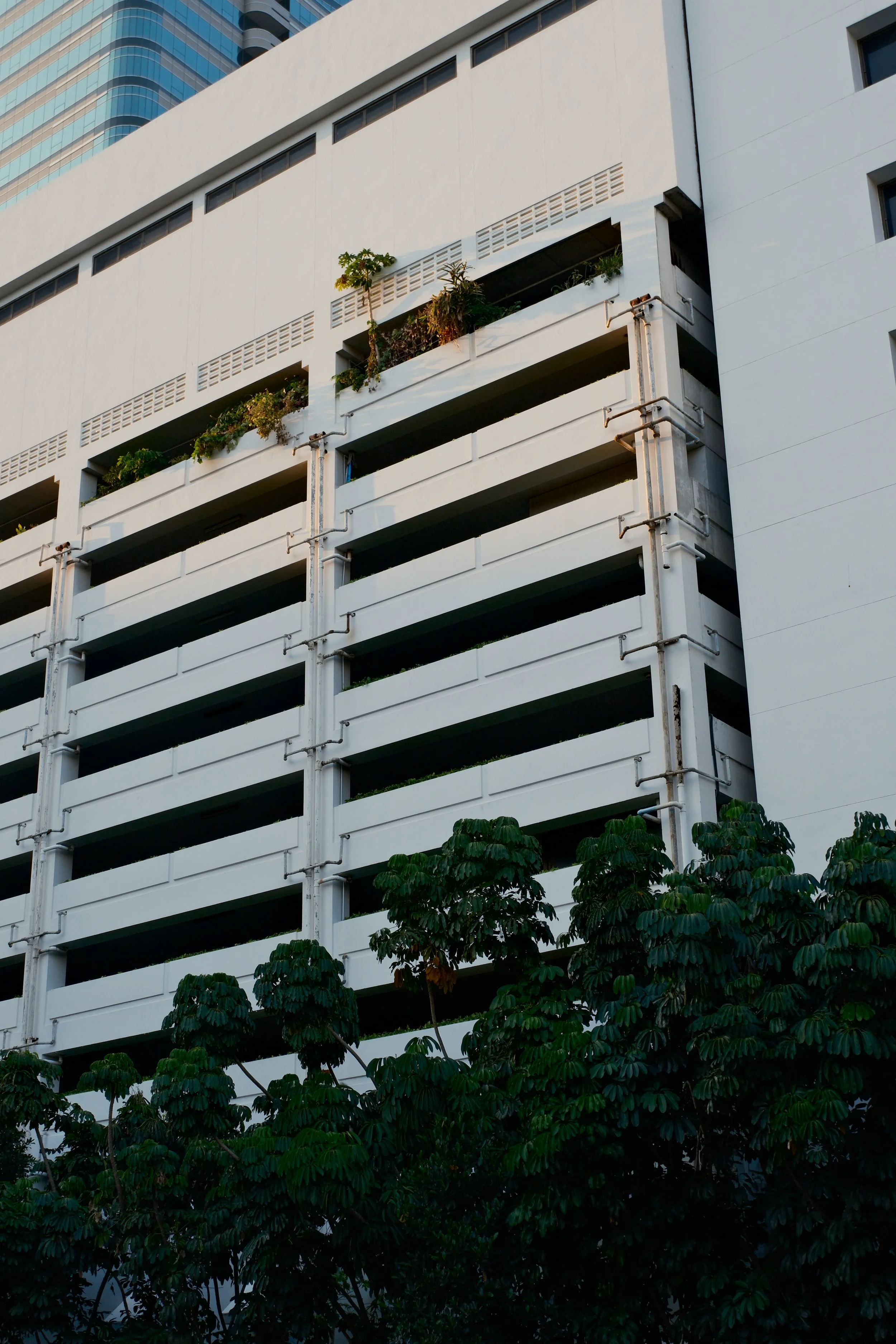 A white multi-story parking garage with open horizontal spaces and some plants and trees on the upper level. Green trees are at the bottom of the image.