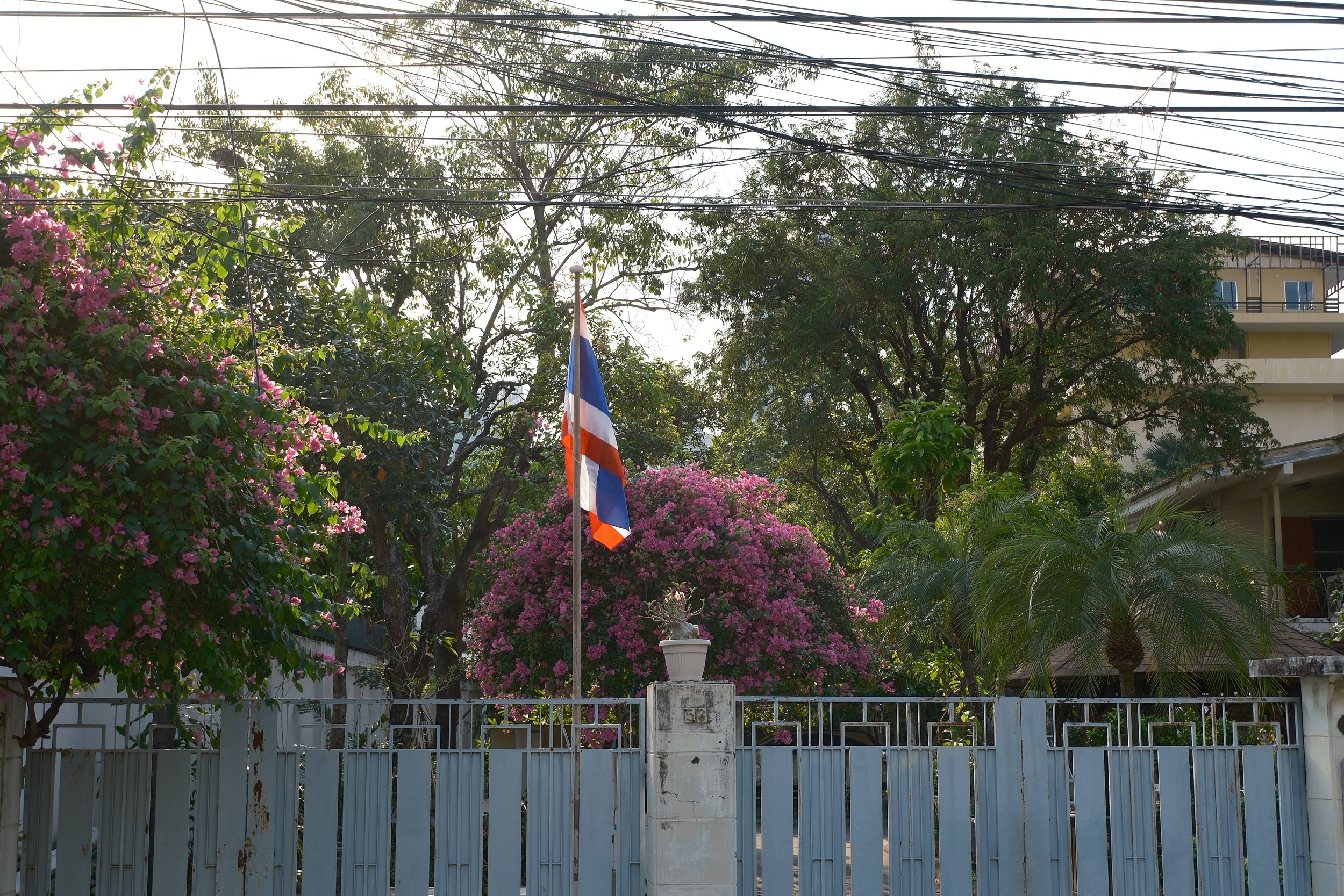 A house entrance with a white gate, a flagpole with a flag, trees, and pink flowering bushes in the background.