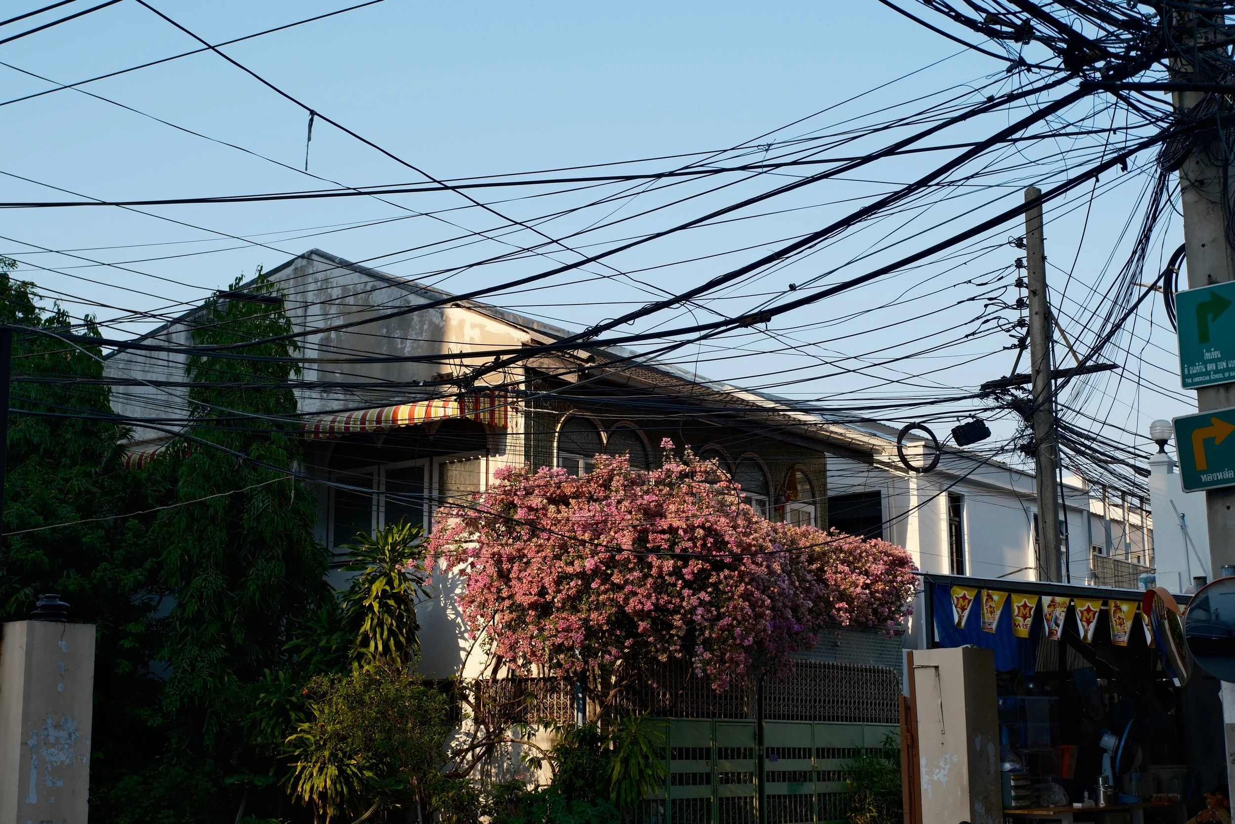 A house with white walls and arched windows, surrounded by greenery, with a large pink flowering tree in front, and an entanglement of overhead electrical wires crossing the sky.