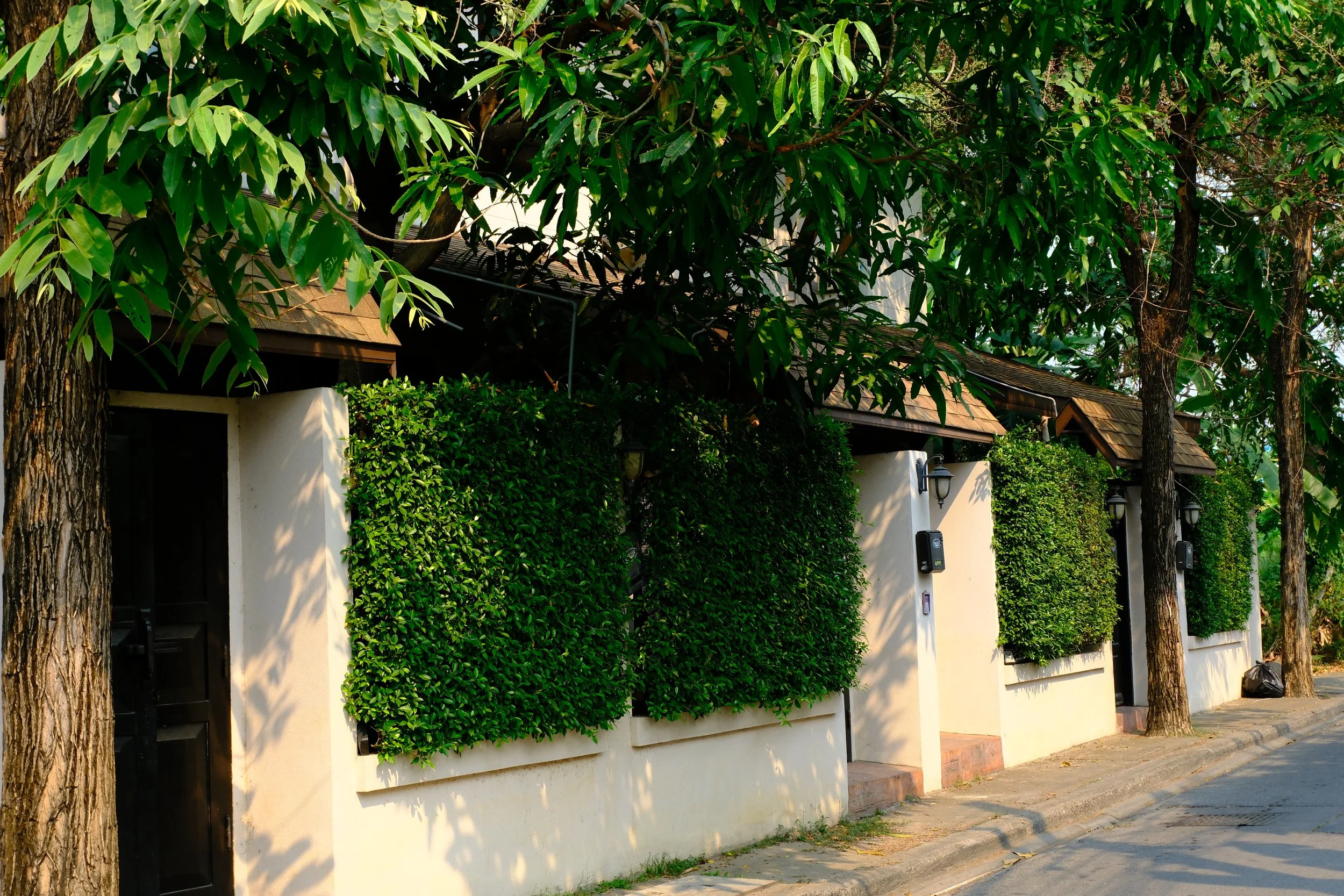 Residential houses with white walls and green hedges, tall trees lining the sidewalk, and street lamps.