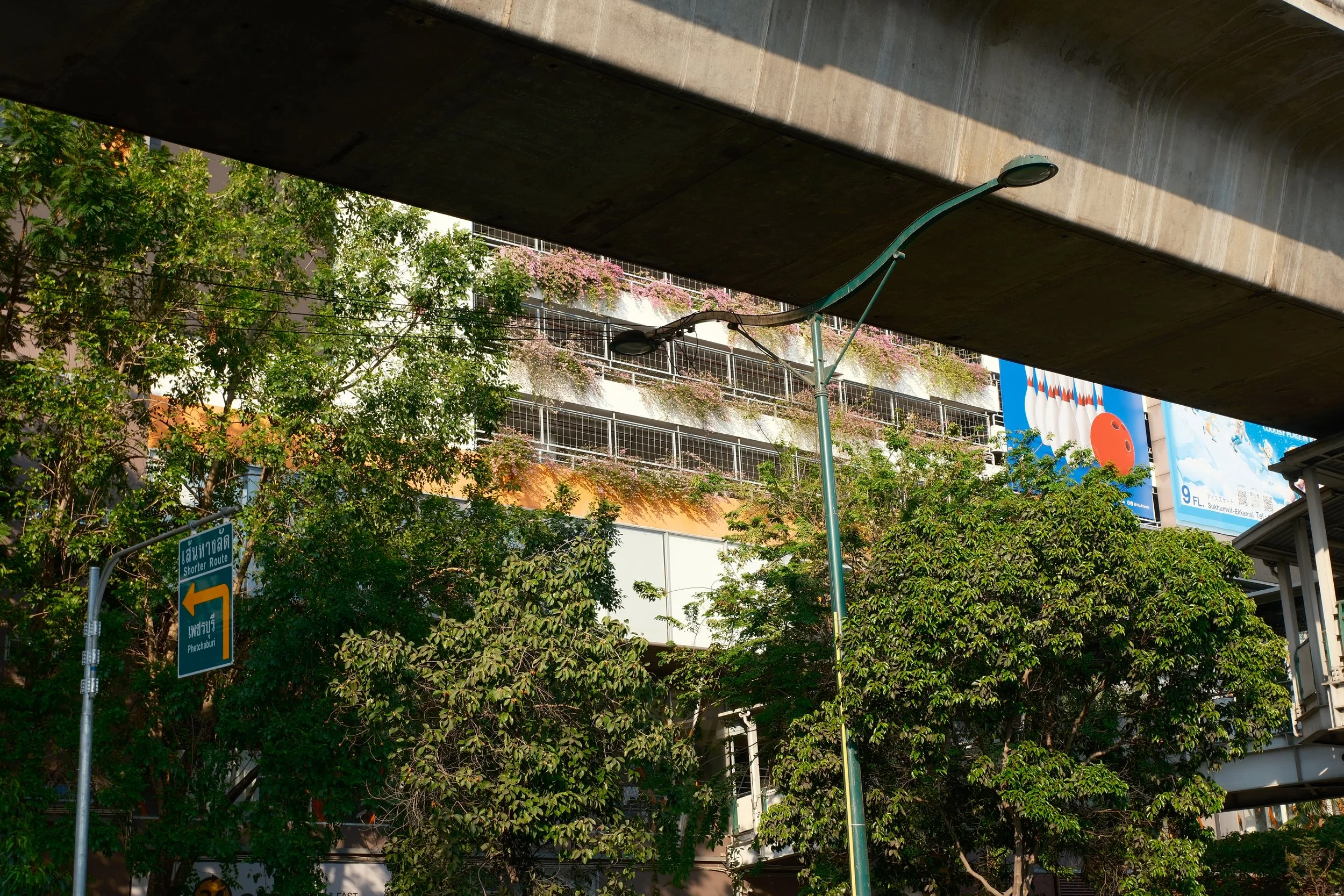 Urban scene with trees, a street sign pointing left for Phra Athit Road, a streetlamp, and a building with a balcony covered in plants and flowers, seen from below an overpass.