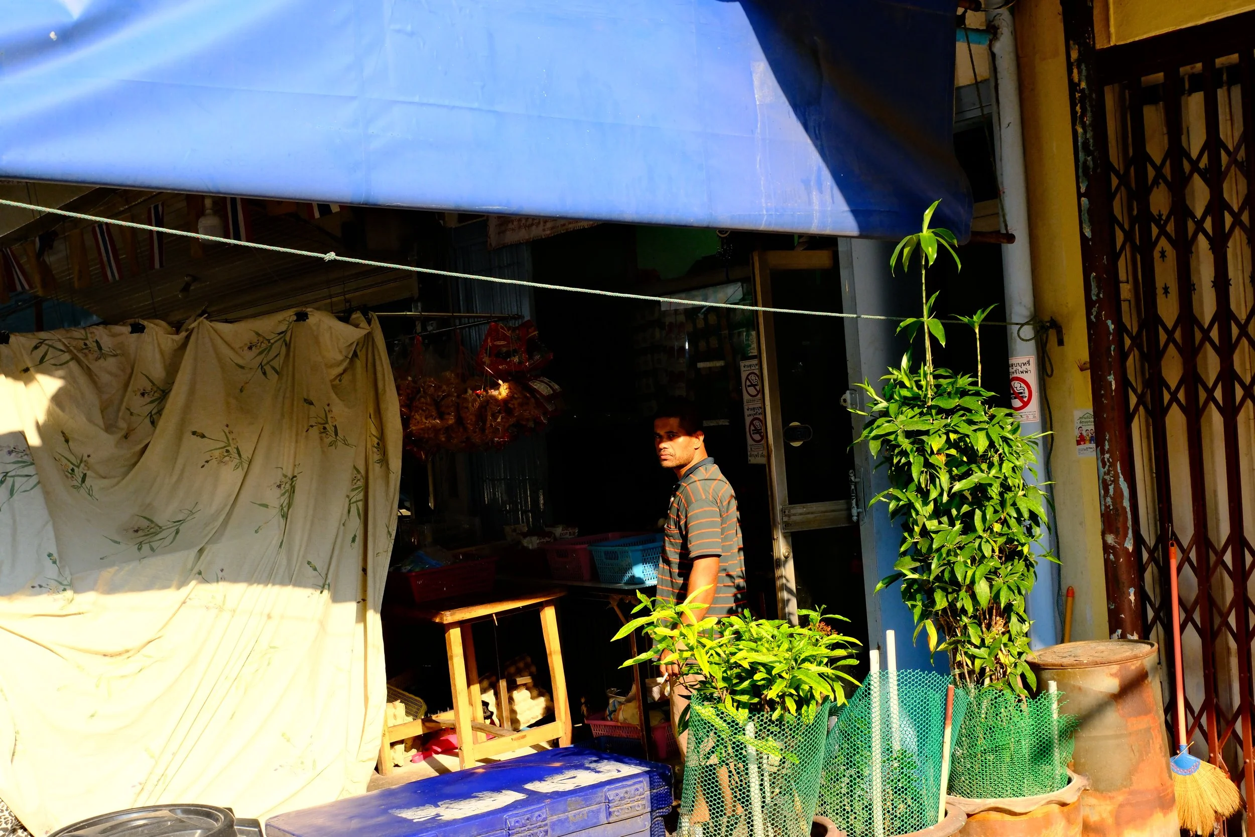 A man stands outside a small shop with plants and a blue canopy, sunlight casting shadows.