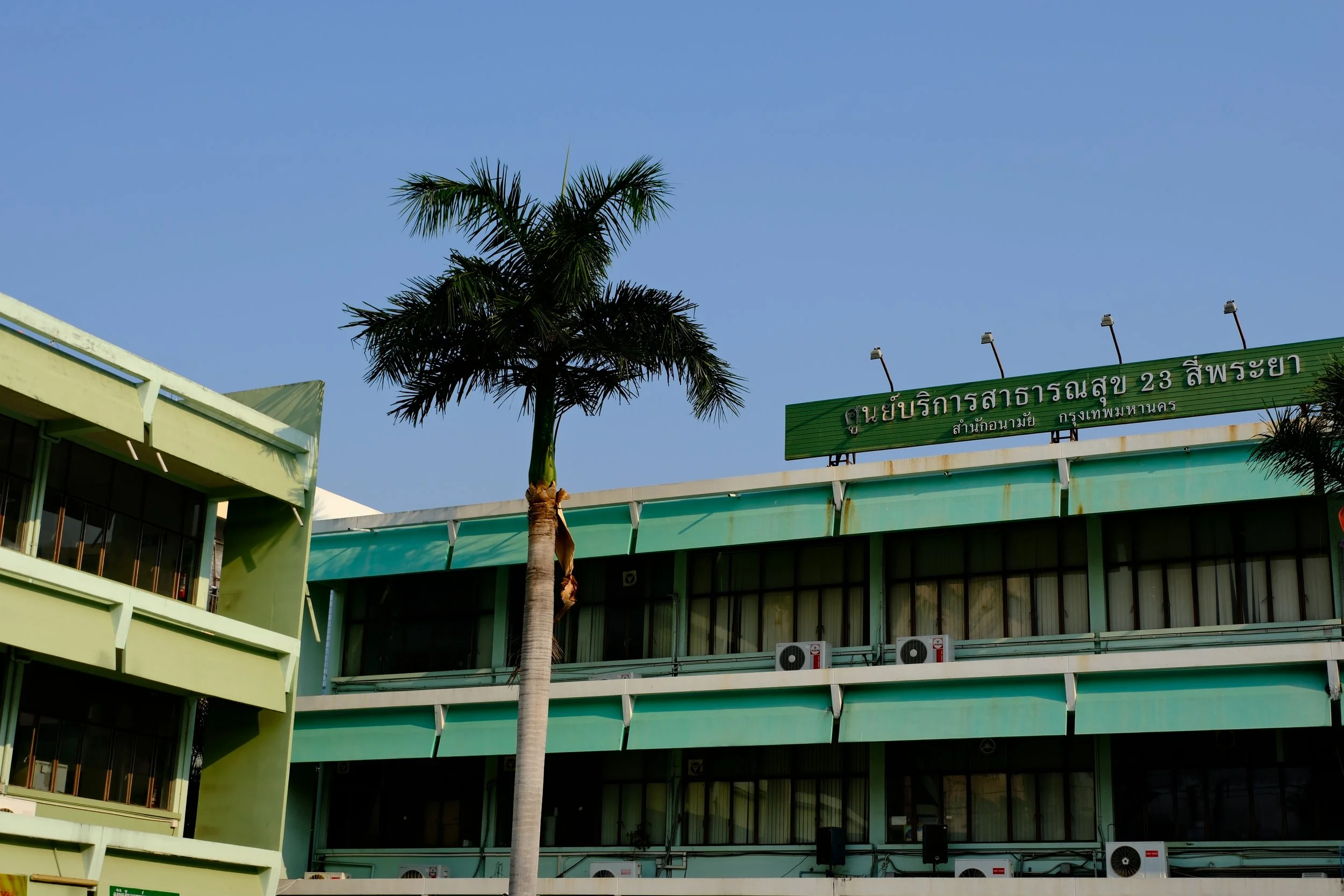 A tall palm tree in front of a green building with air conditioning units and hanging lights, under a clear blue sky.