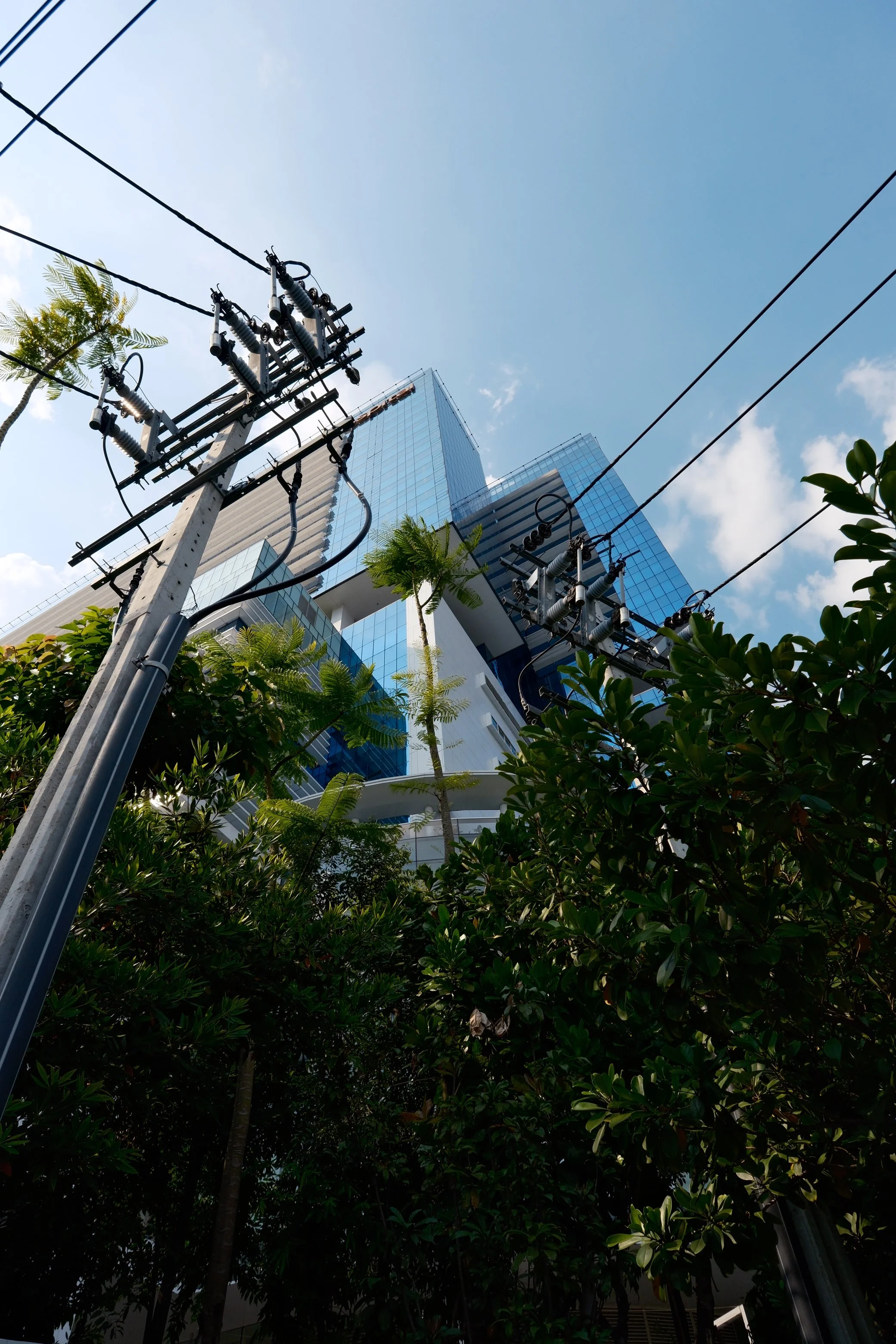 Low-angle view of a tall modern glass building with greenery and power lines in the foreground on a clear day.