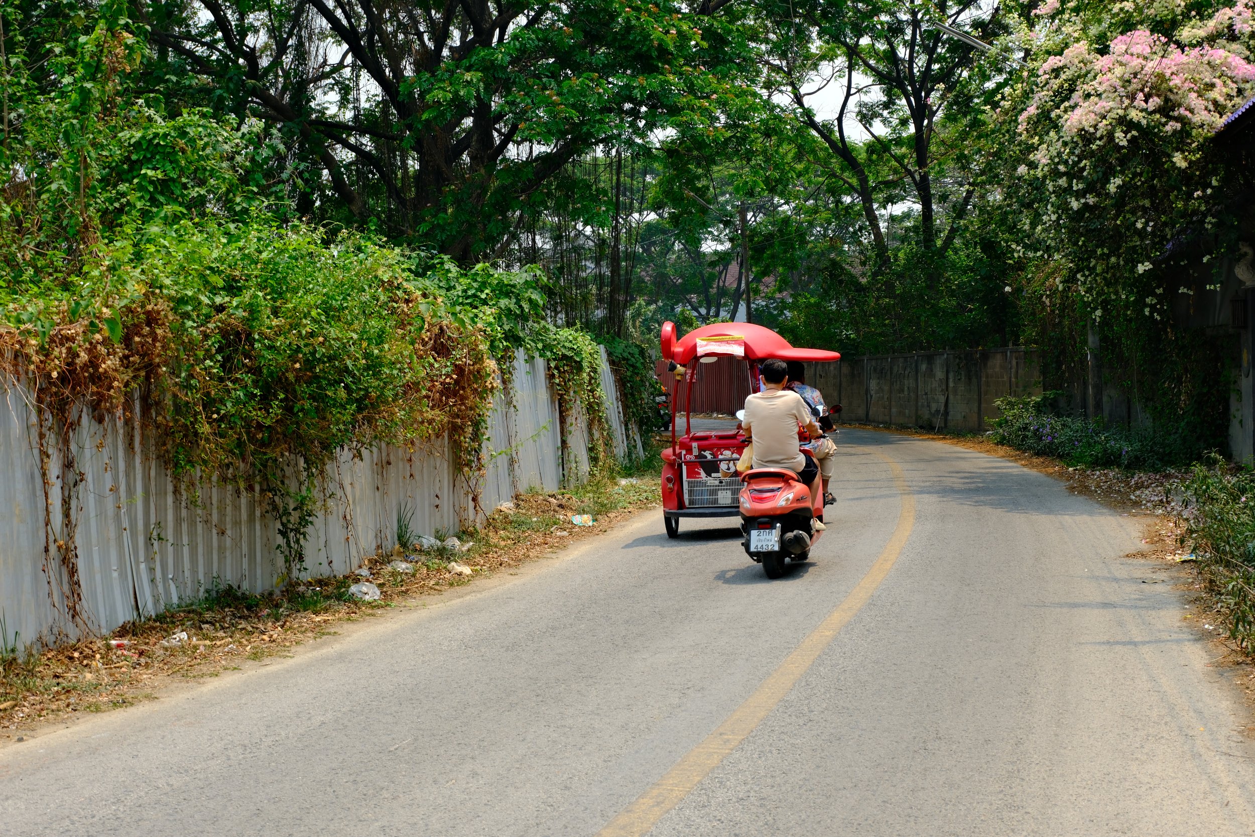 A road with a yellow center line, bordered by a metal fence and lush greenery, including trees and flowering bushes, with a red tuk-tuk and a scooter traveling down the curve.
