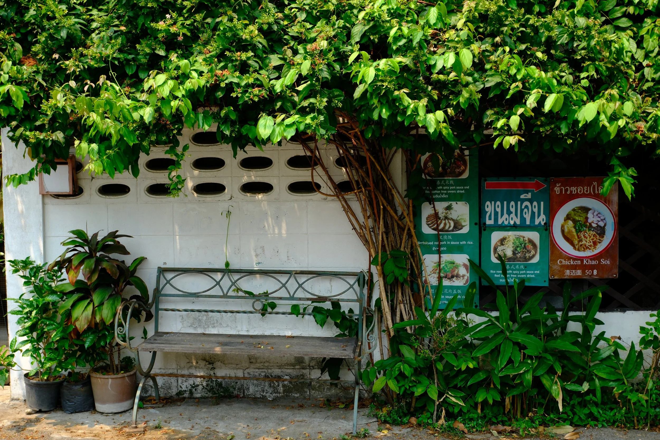 A weathered metal bench in front of a white wall with three rectangular ventilation holes. Green plants and vines grow around and over the bench, with potted plants on the ground. To the right, there are colorful signs and menus in Thai and English a