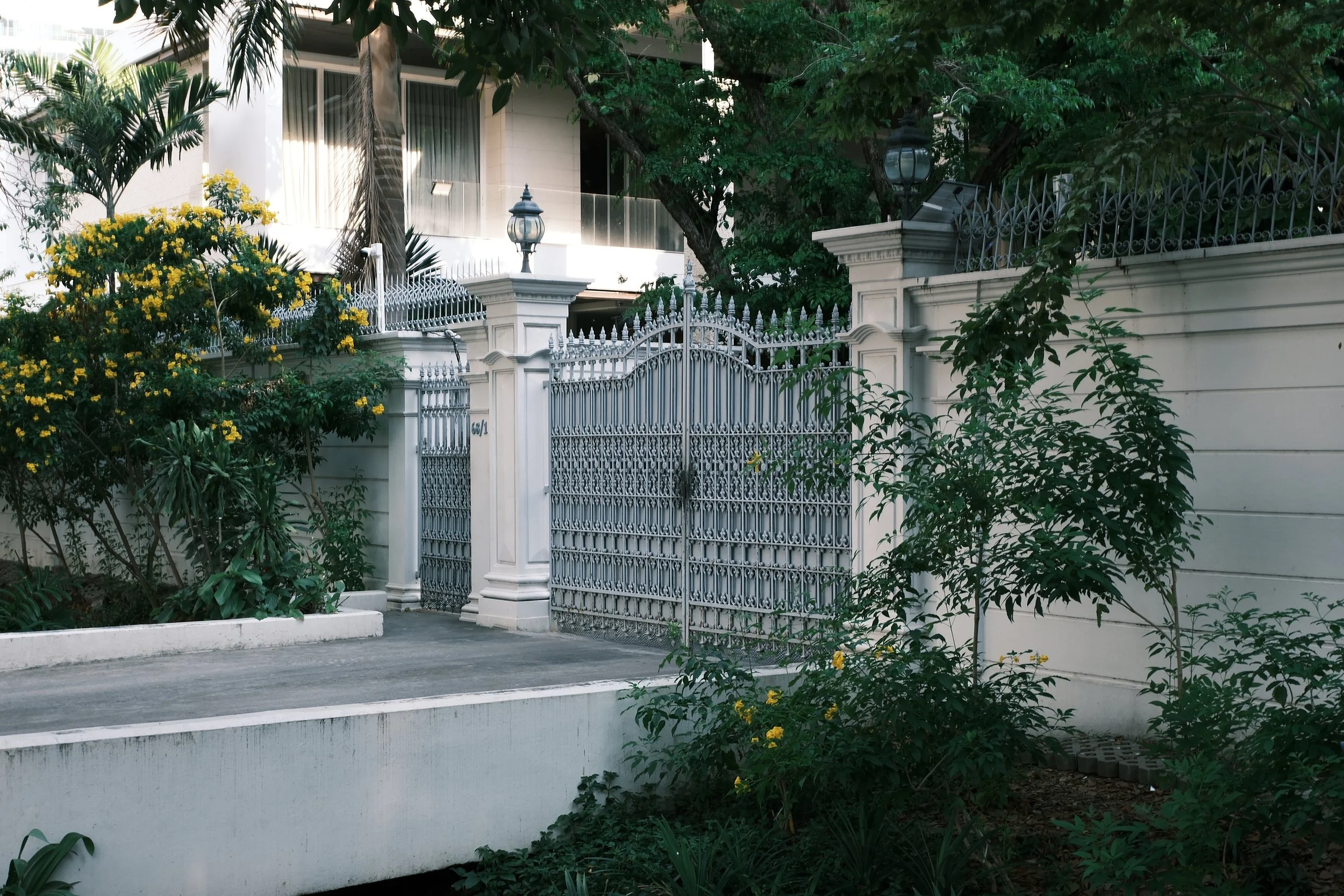 White ornate wrought iron gate and fence surrounded by lush green trees and plants in front of a modern house with large windows.