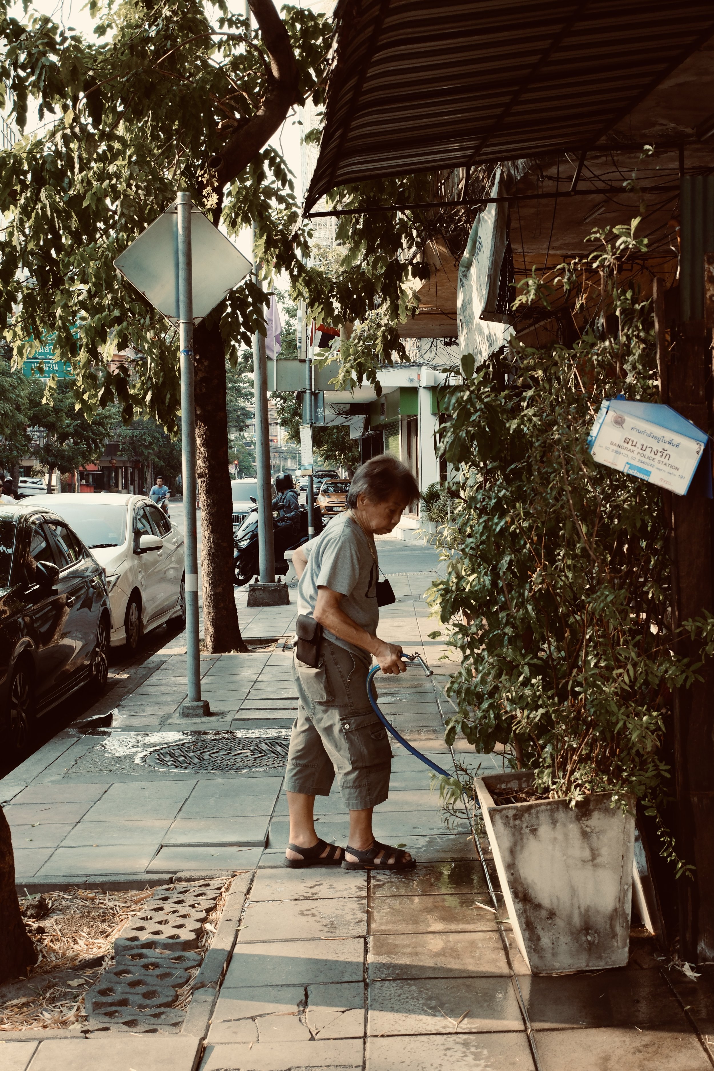 An elderly man watering plants on a sidewalk in an urban area.