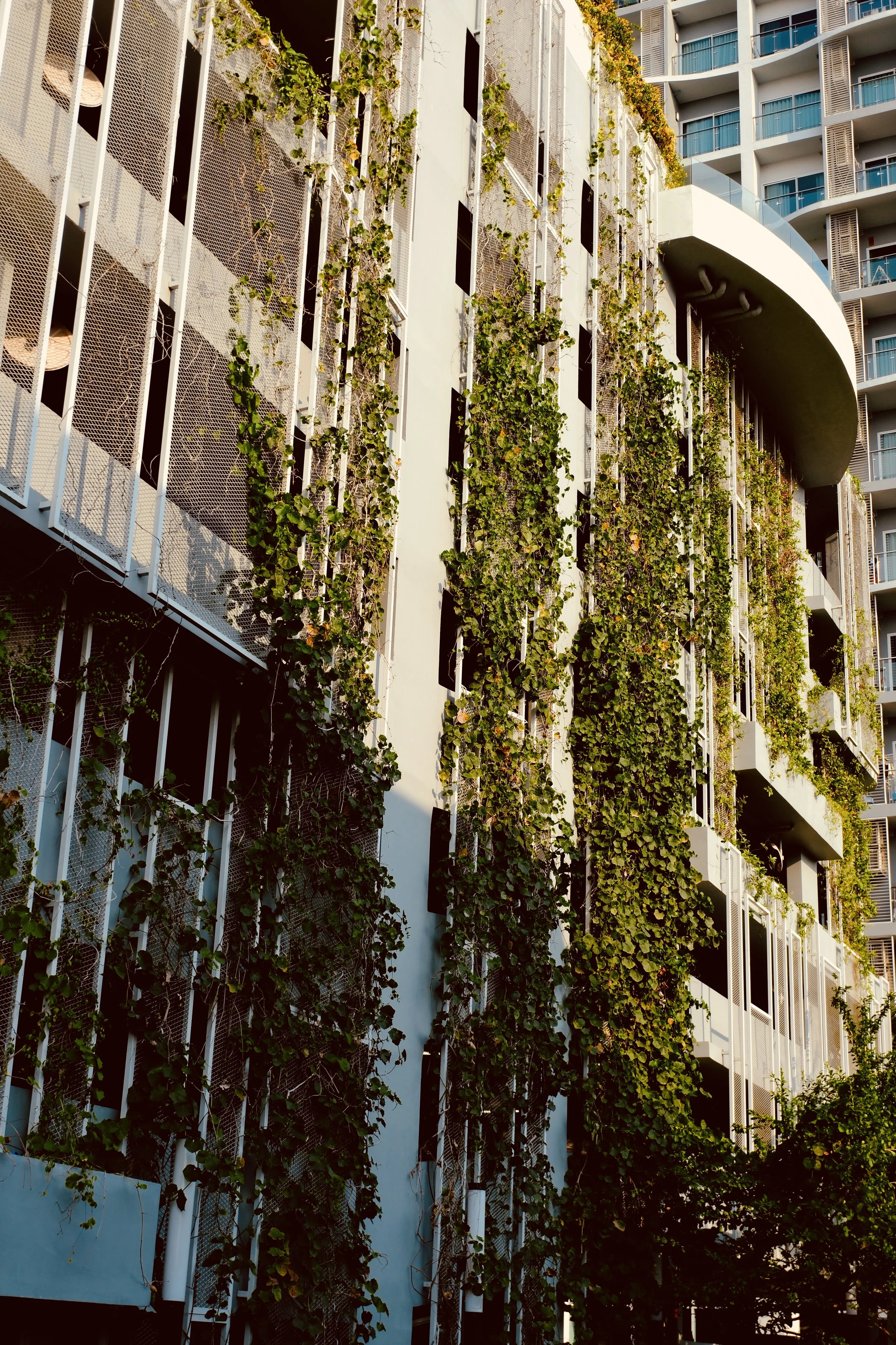 Facade of a modern building with vertical greenery and ivy growing on it, in an urban area with other buildings nearby.