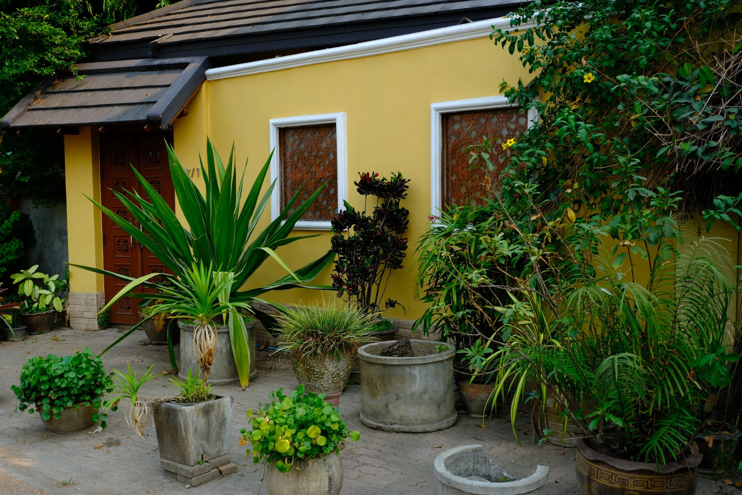 Yellow house with wooden door, two windows with decorative metal grills, surrounded by potted plants and greenery in a garden.