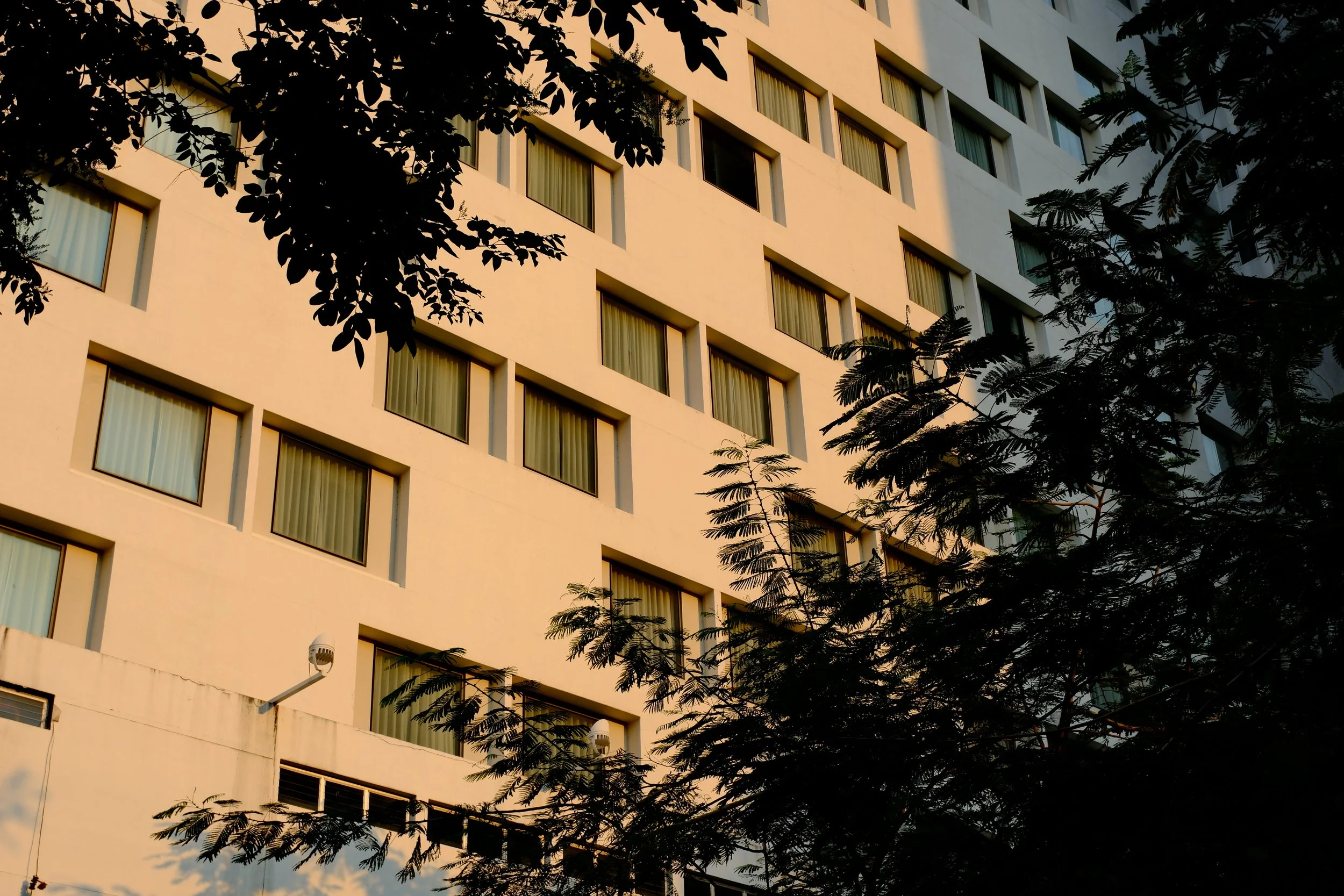 A large multi-story building with many windows, partially obscured by the dark silhouette of tree branches in the foreground, illuminated by warm sunlight.