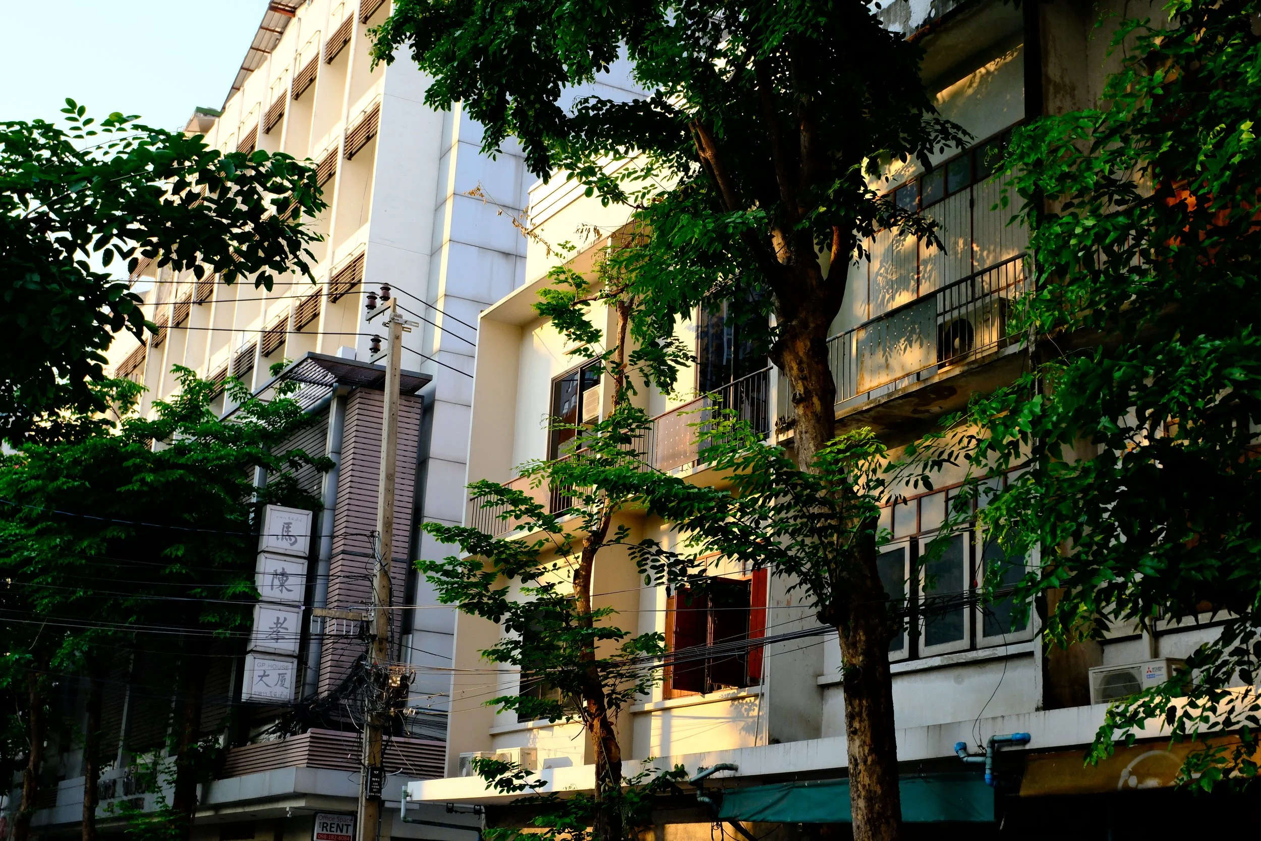 Multistory residential building with trees and electrical wires in front, sunlight illuminating the building exterior.