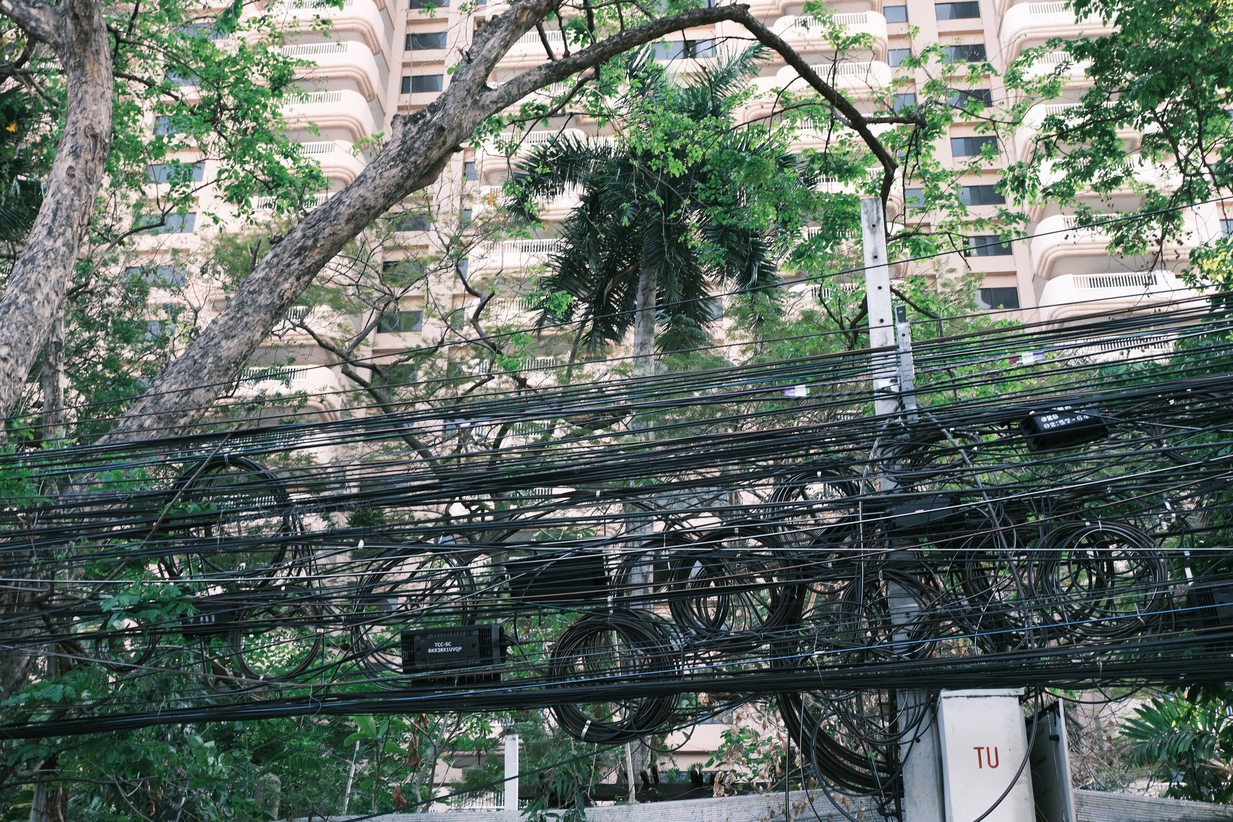 Close-up of multiple black electrical wires and cables tangled on a pole, with greenery and an apartment building in the background.