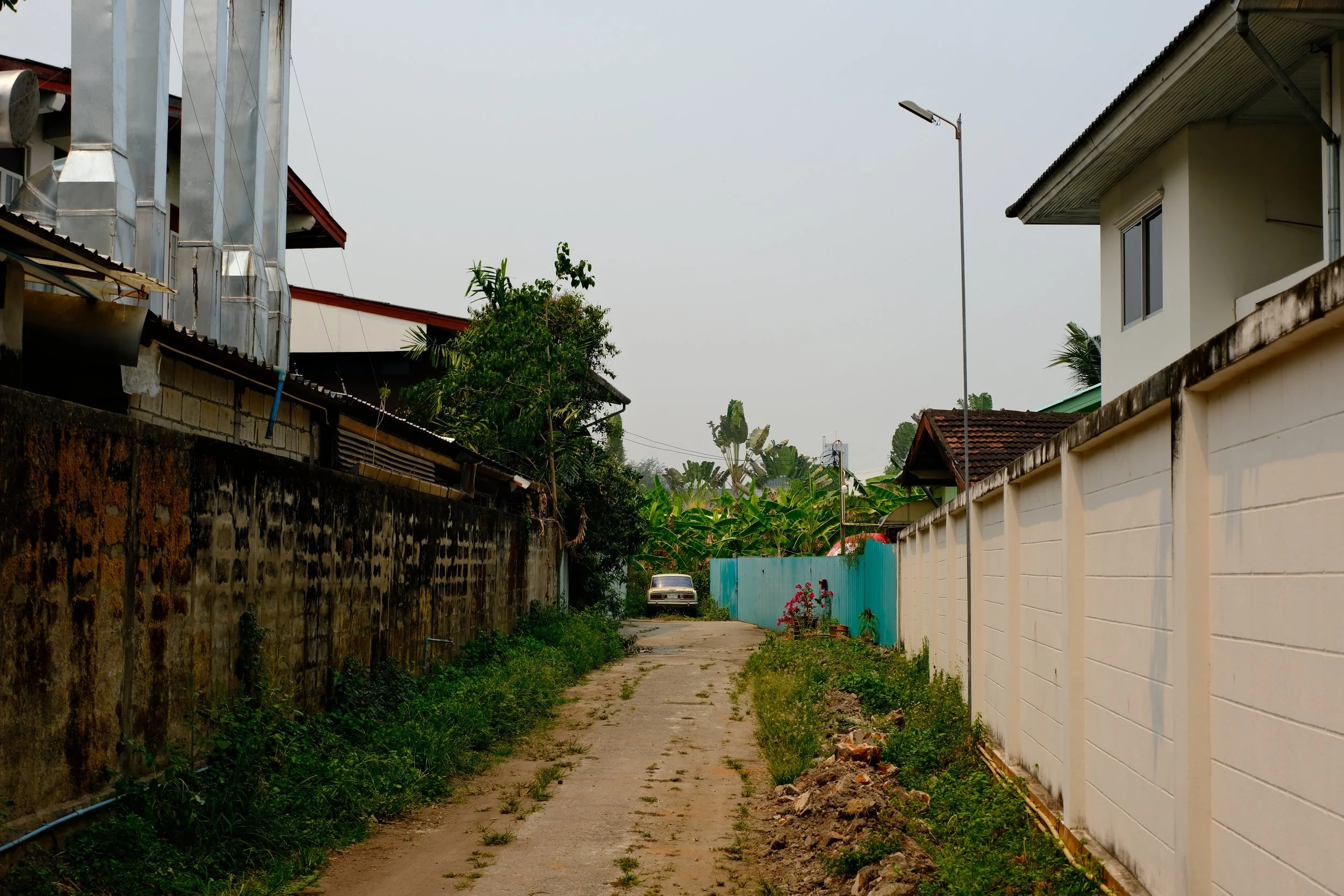 A narrow alleyway between houses with a concrete path, overgrown grass and plants on either side, a car parked in the distance, and a cloudy sky overhead.