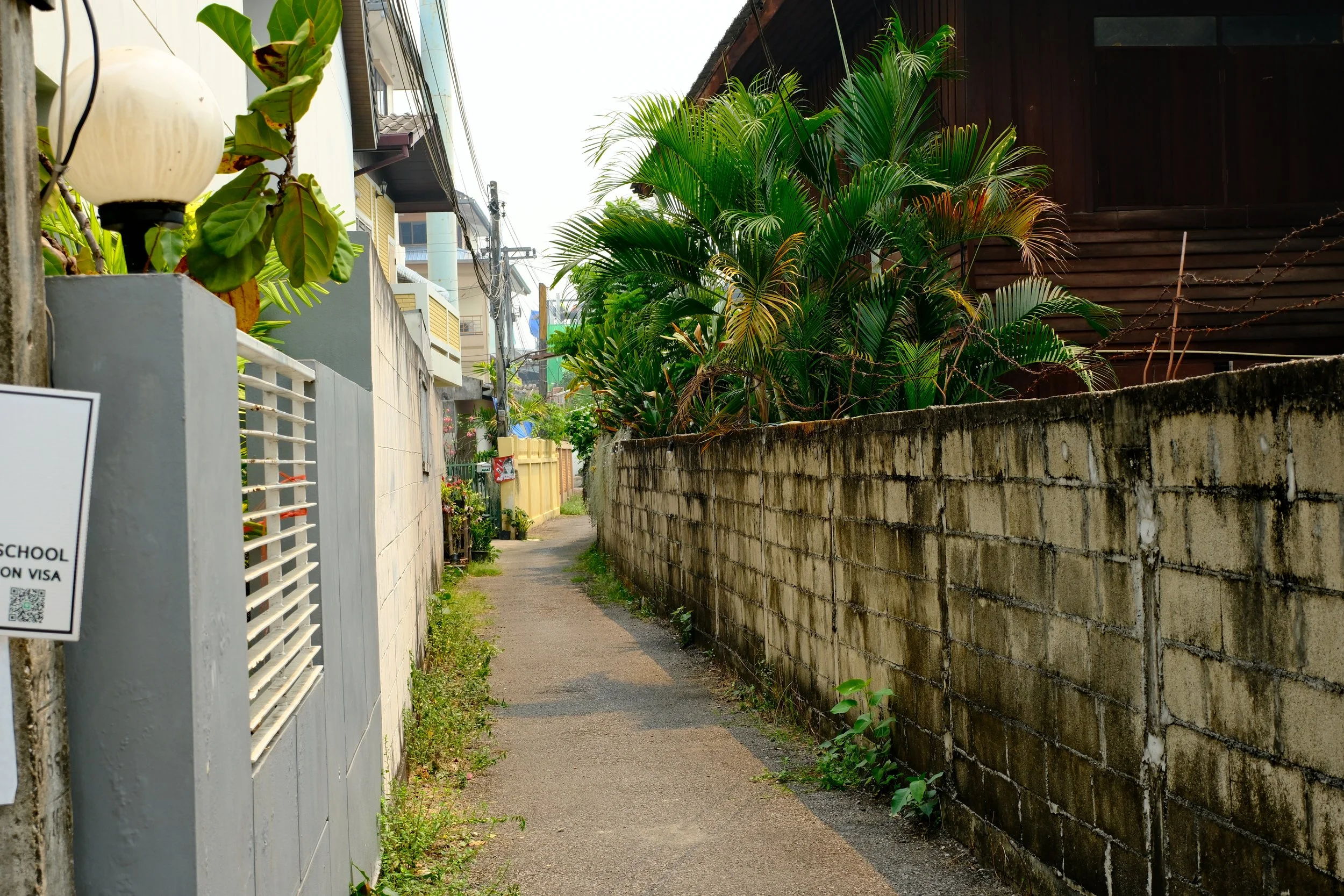 A narrow concrete alleyway between residential buildings, with a brick wall on the right side and a gray fence on the left. There are green plants and small trees along the sides, and the alley stretches into the distance under a partly cloudy sky.
