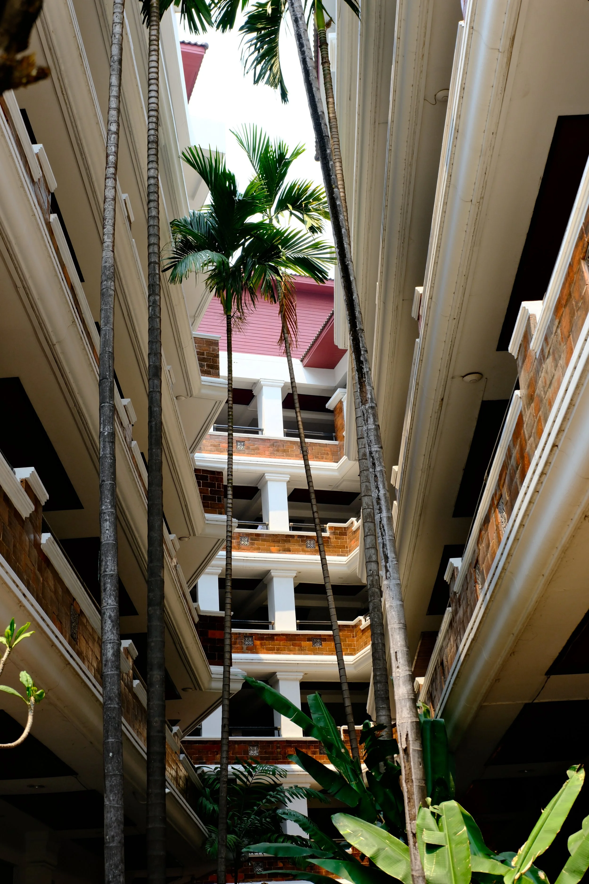 View of an atrium with tall palm trees, green plants, and multiple floors of balconies with brick and white accents inside a building.