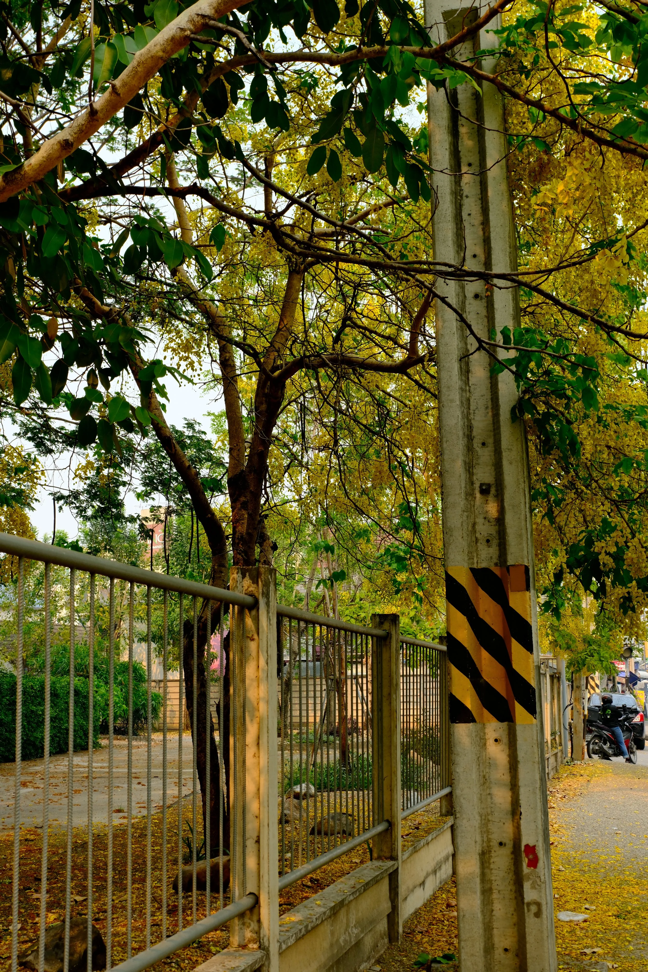 A street scene with a metal fence lining a sidewalk, a concrete utility pole with black and yellow hazard markings, and trees with green and yellow leaves. A parked scooter and car are visible in the background.
