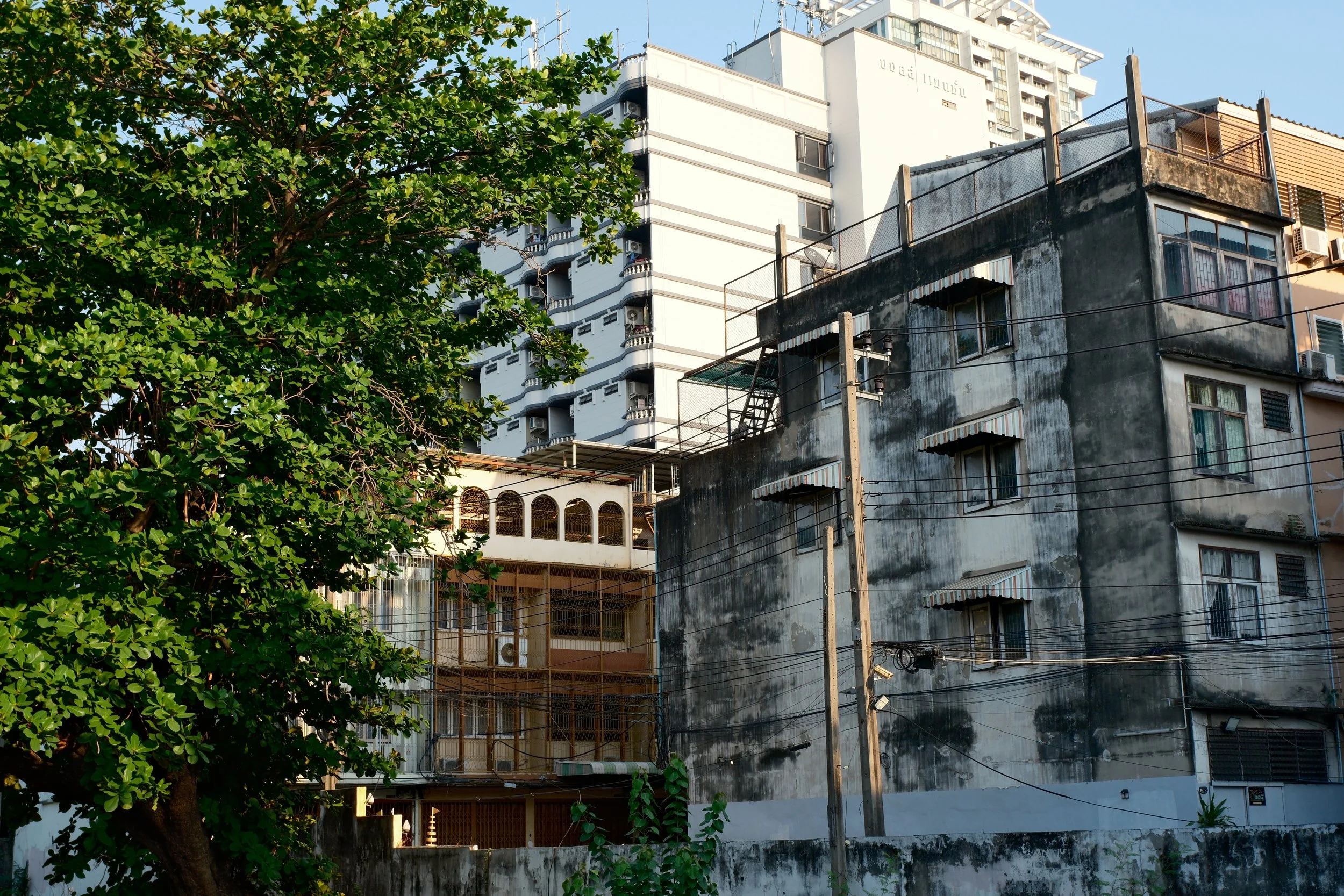 An urban scene with an old, weathered black and white building, a modern white building in the background, a large green tree on the left, and utility poles and wires in the foreground.
